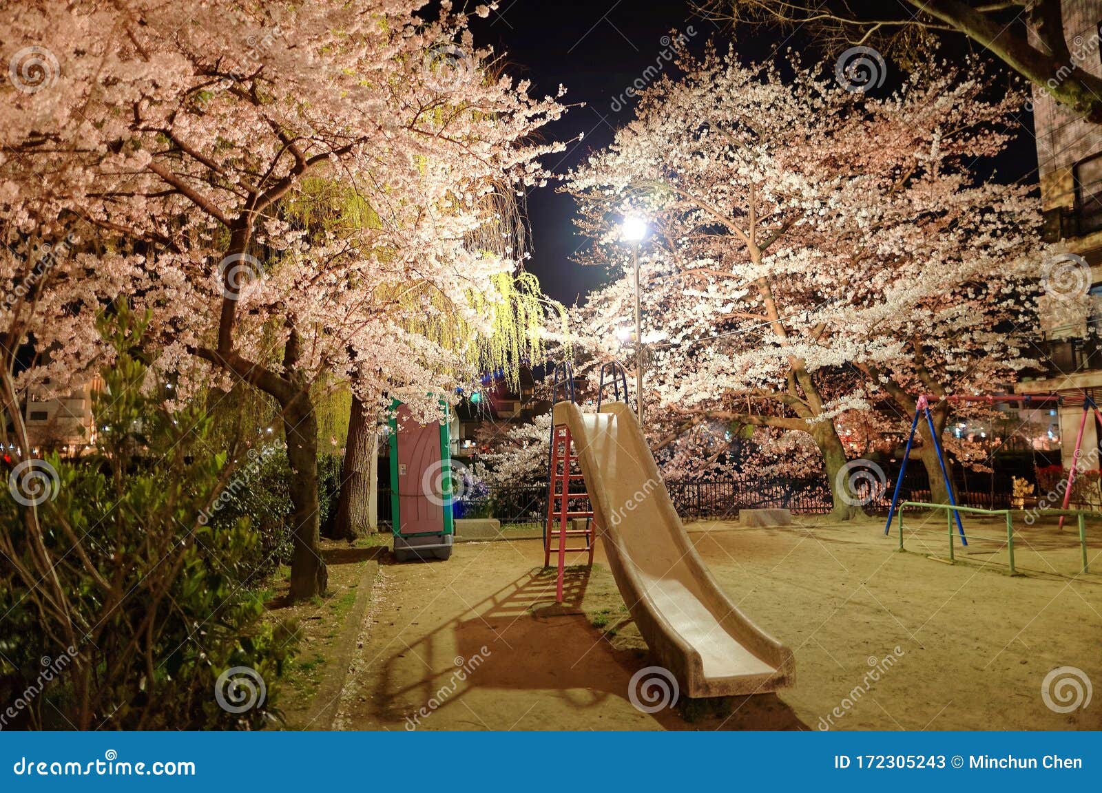 Night Scenery of a Lovely Corner in an Urban Park, with a ...
