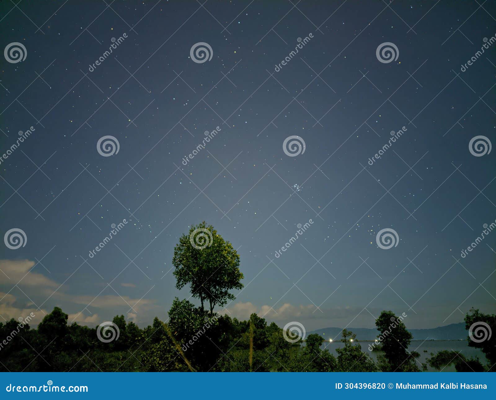 The Night Sky is Full of Stars Above the Beach and Mangrove Forests
