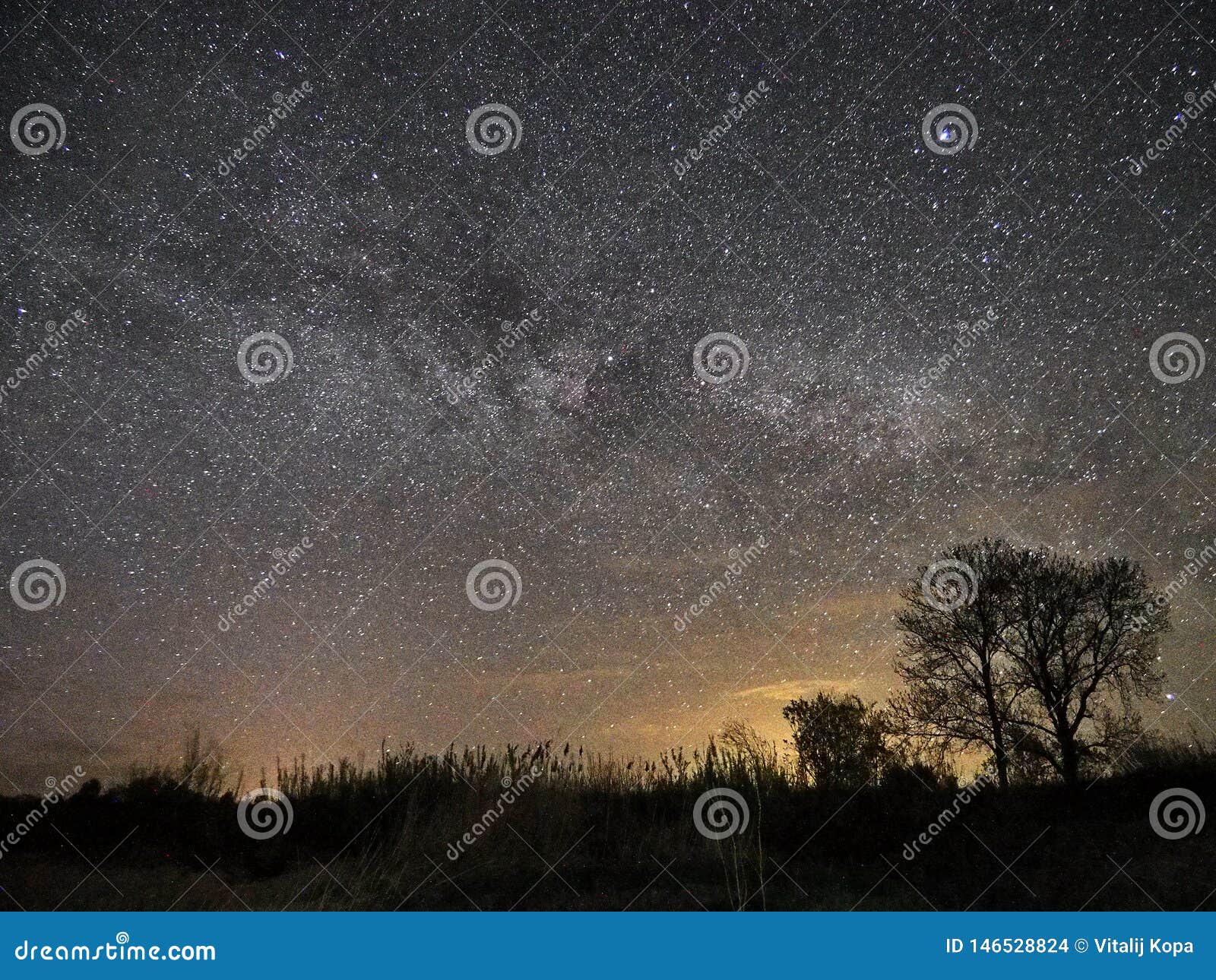 night sky stars and milky way star observing over tree