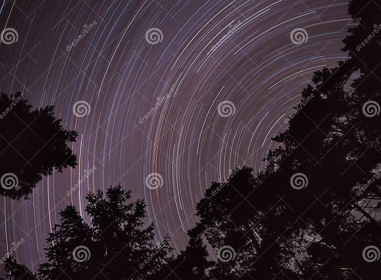 Night sky, stars moving. stock image. Image of tree, violet 12719321