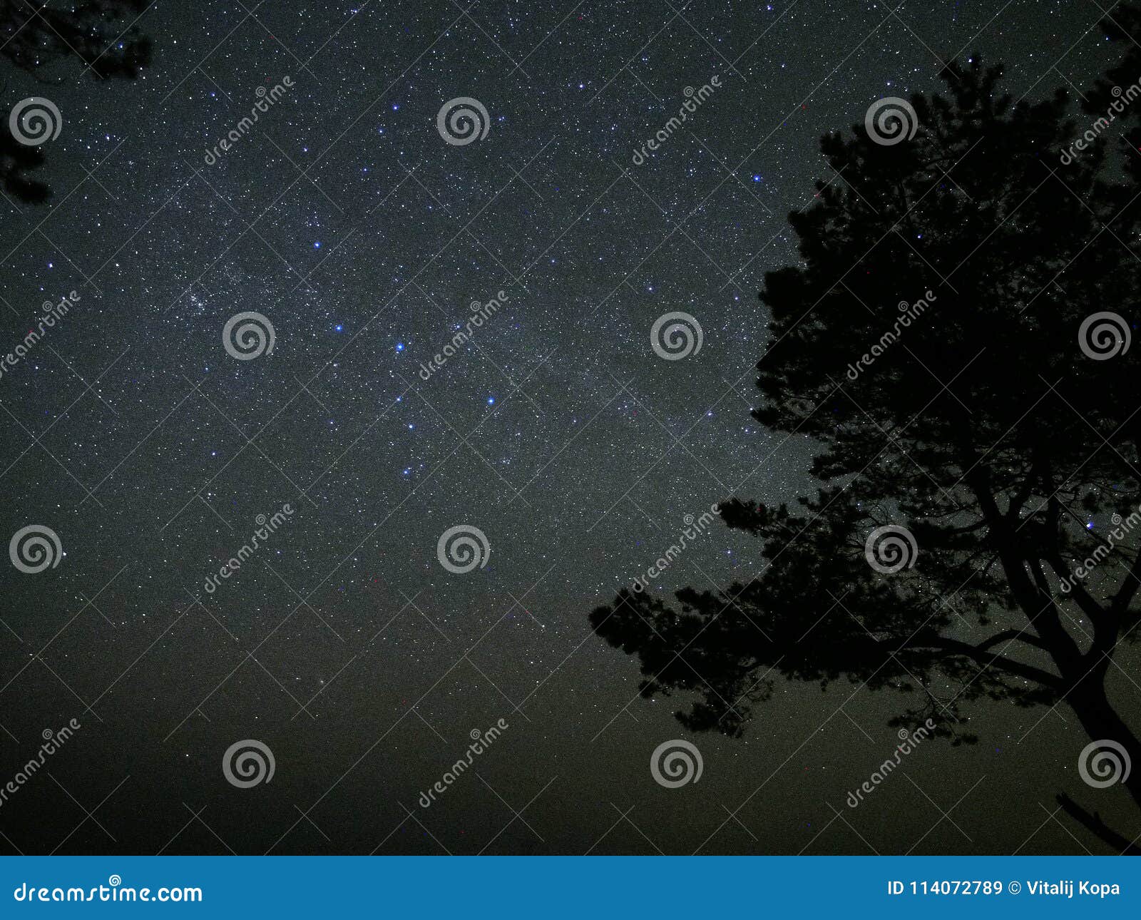 night sky stars perseus and cassiopeia constellation over forest
