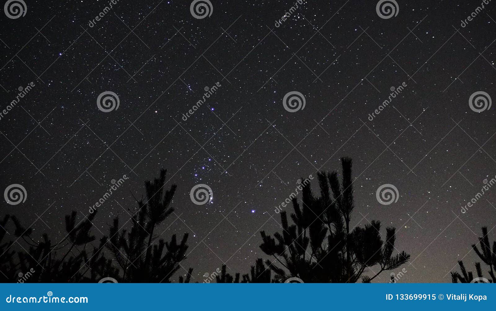 night sky stars orion constellation observing