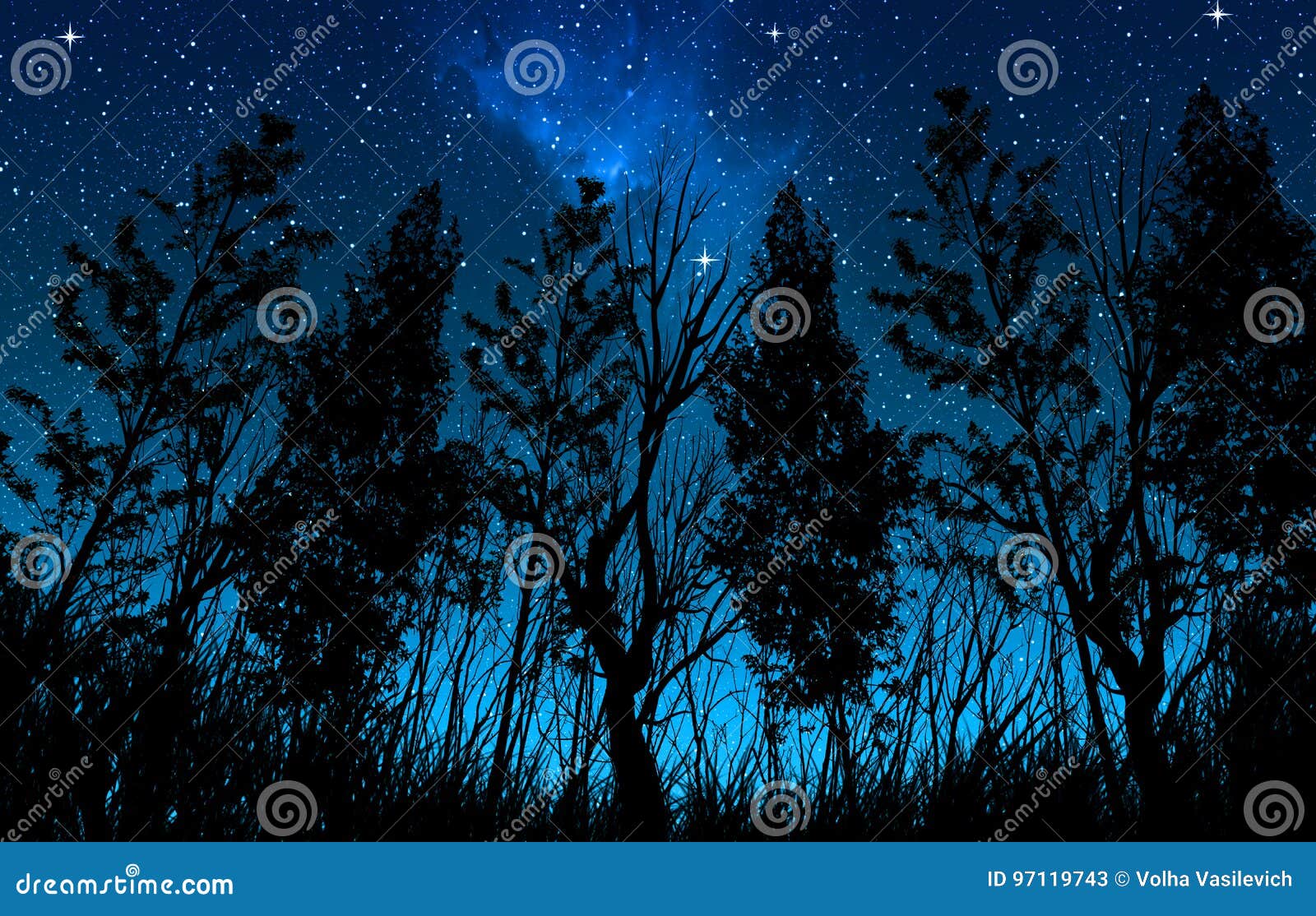 night starry sky with a milky way and stars, in the foreground trees and bushes of forest area