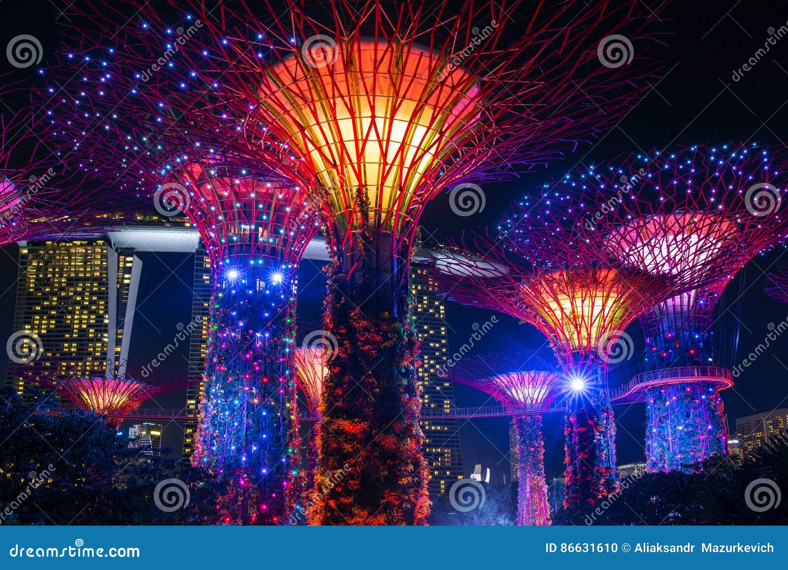 Night View Of Illuminated Supertree Grove At Gardens By The Bay In