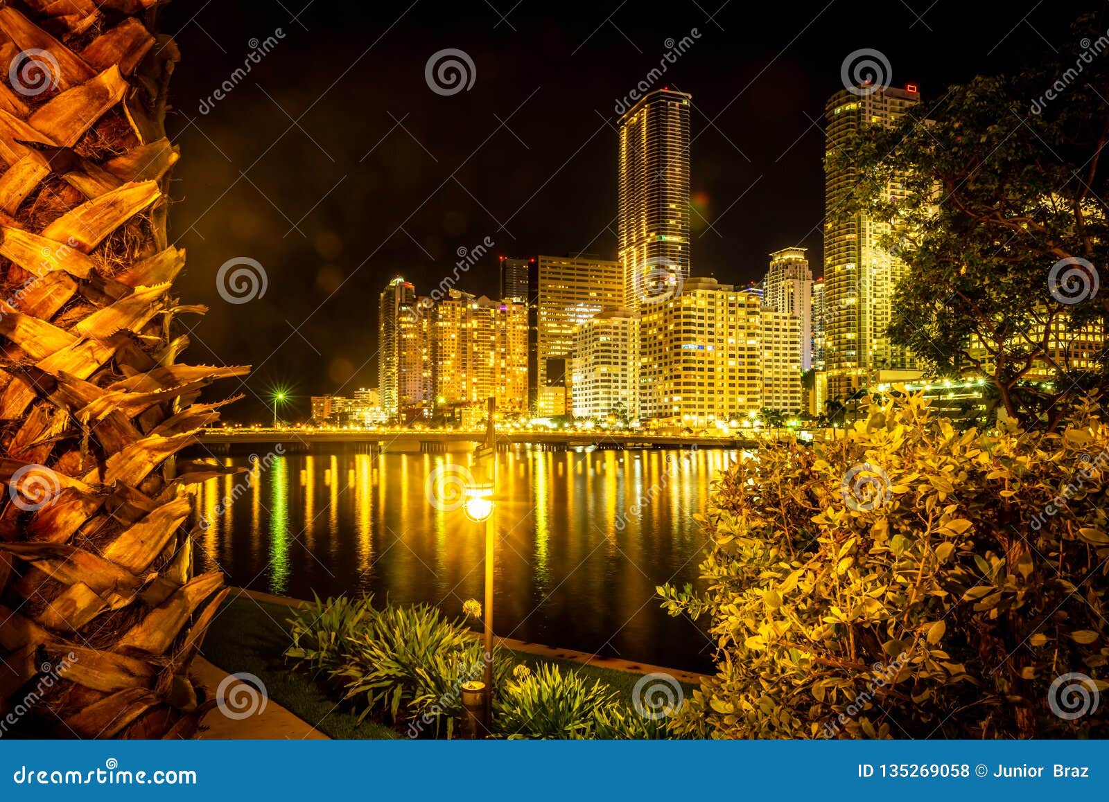 The Night View of Miami Downtown Buildings Stock Photo Image of neighborhood, island 135269058