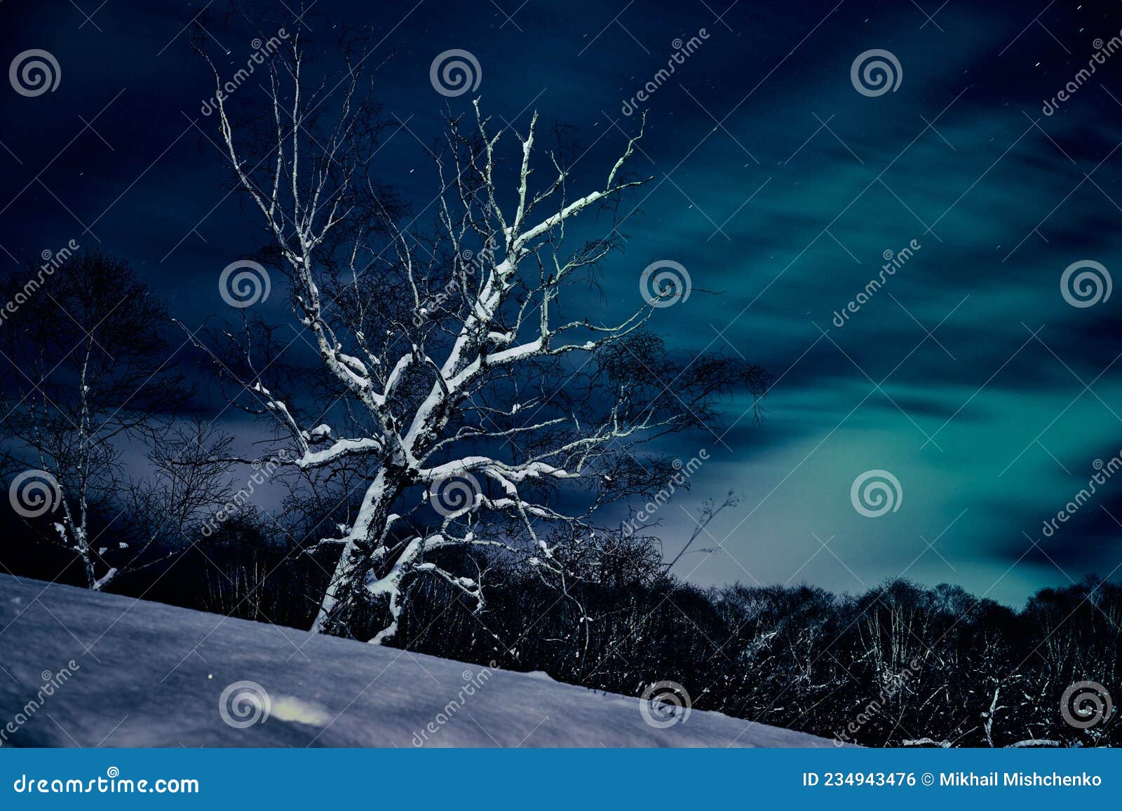 Sociologi Klappe Spekulerer Night Winter Landscape in Cold Tones. Lonely Tree Under the Sky Stock Photo  - Image of tree, winter: 234943476