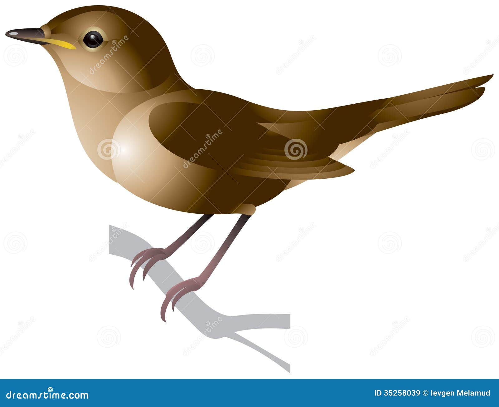 nightingale clip art - photo #4