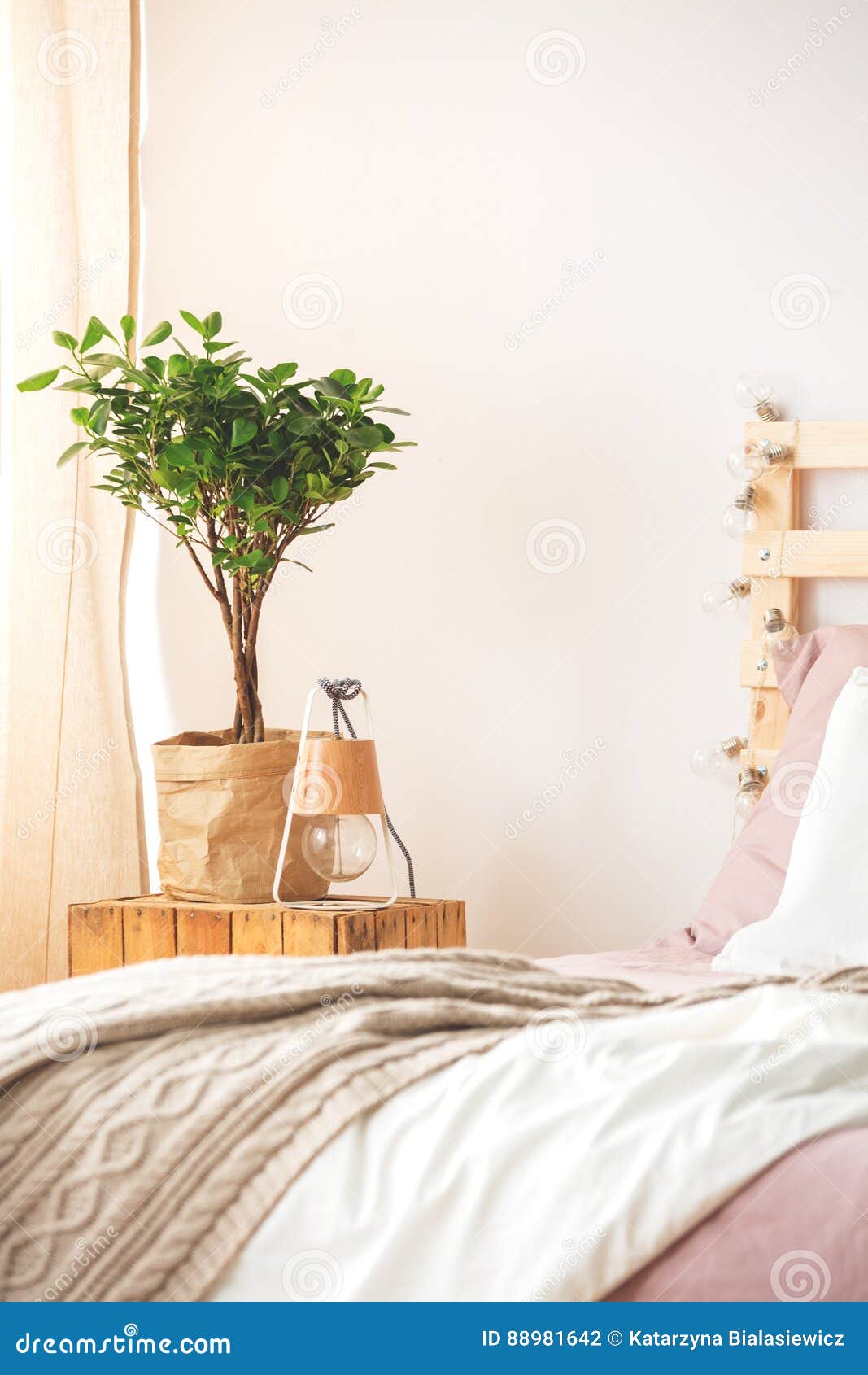 Nightstand with Plant and Lamp Stock Photo Image of home, minimalist