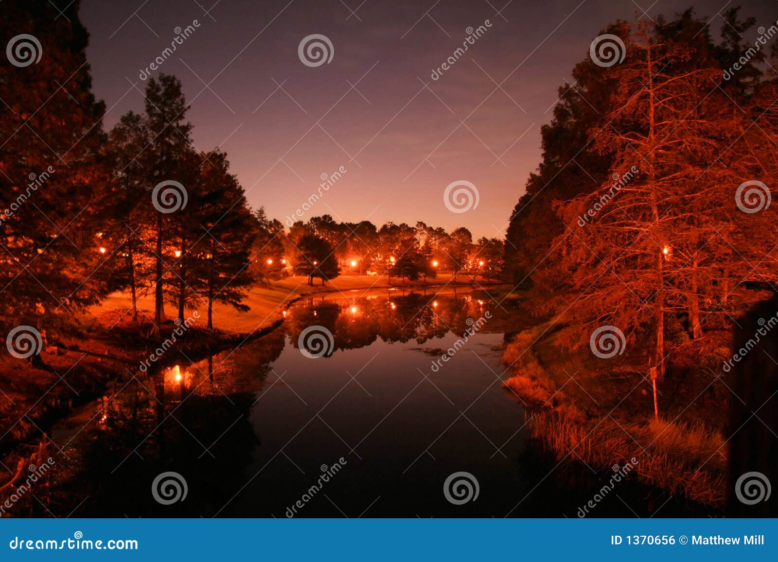 nighttime canal