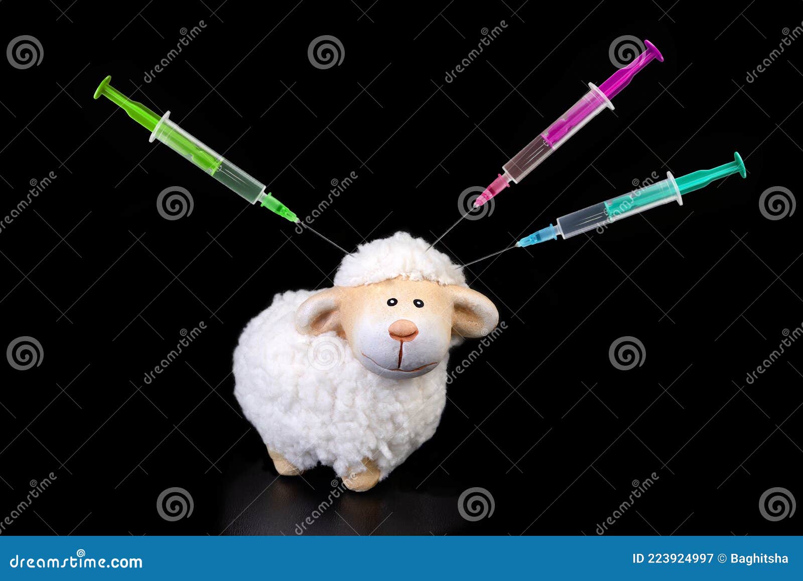 Sheep with Syringes Sticking in Its Head Black Background Stock Image