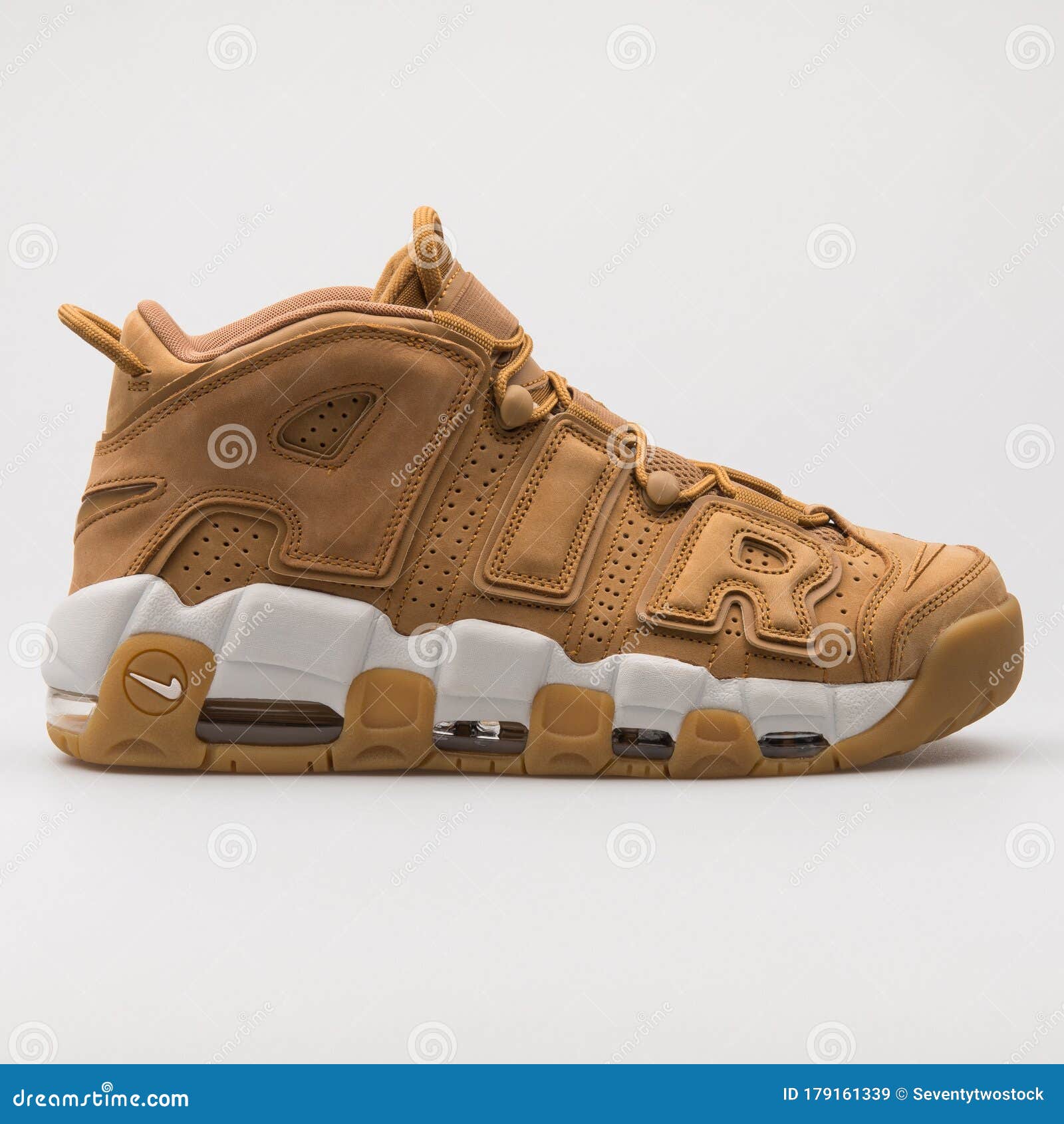 Nike Air Más Uptempo 96 Premium Khaki Y Zapatillas Blancas Imagen de editorial - Imagen de retroceder, zapato: