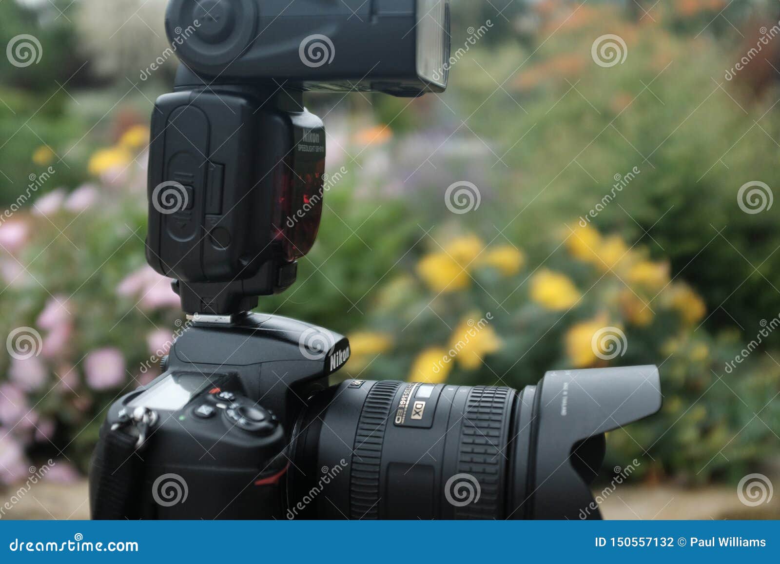 Nikon Speed Light on Hot Shoe Editorial Photography Image of