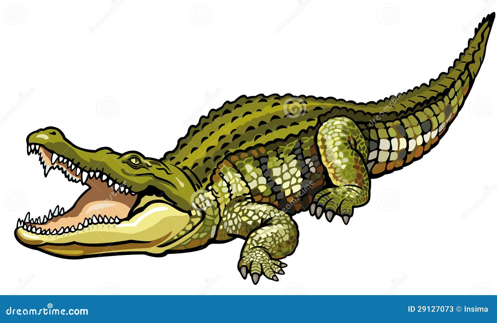 nile crocodile clipart image