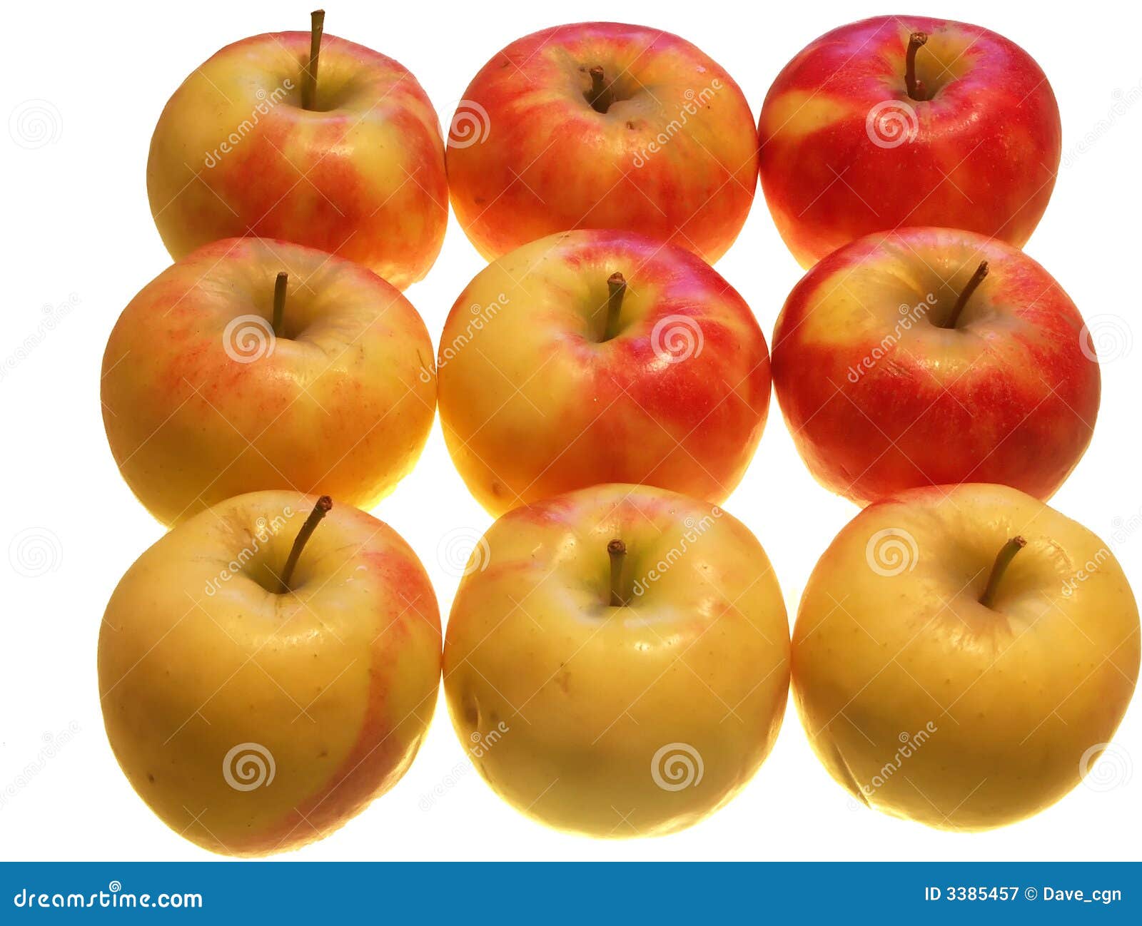 Nine apples stock image. Image of nine, fruit, isolated - 3385457