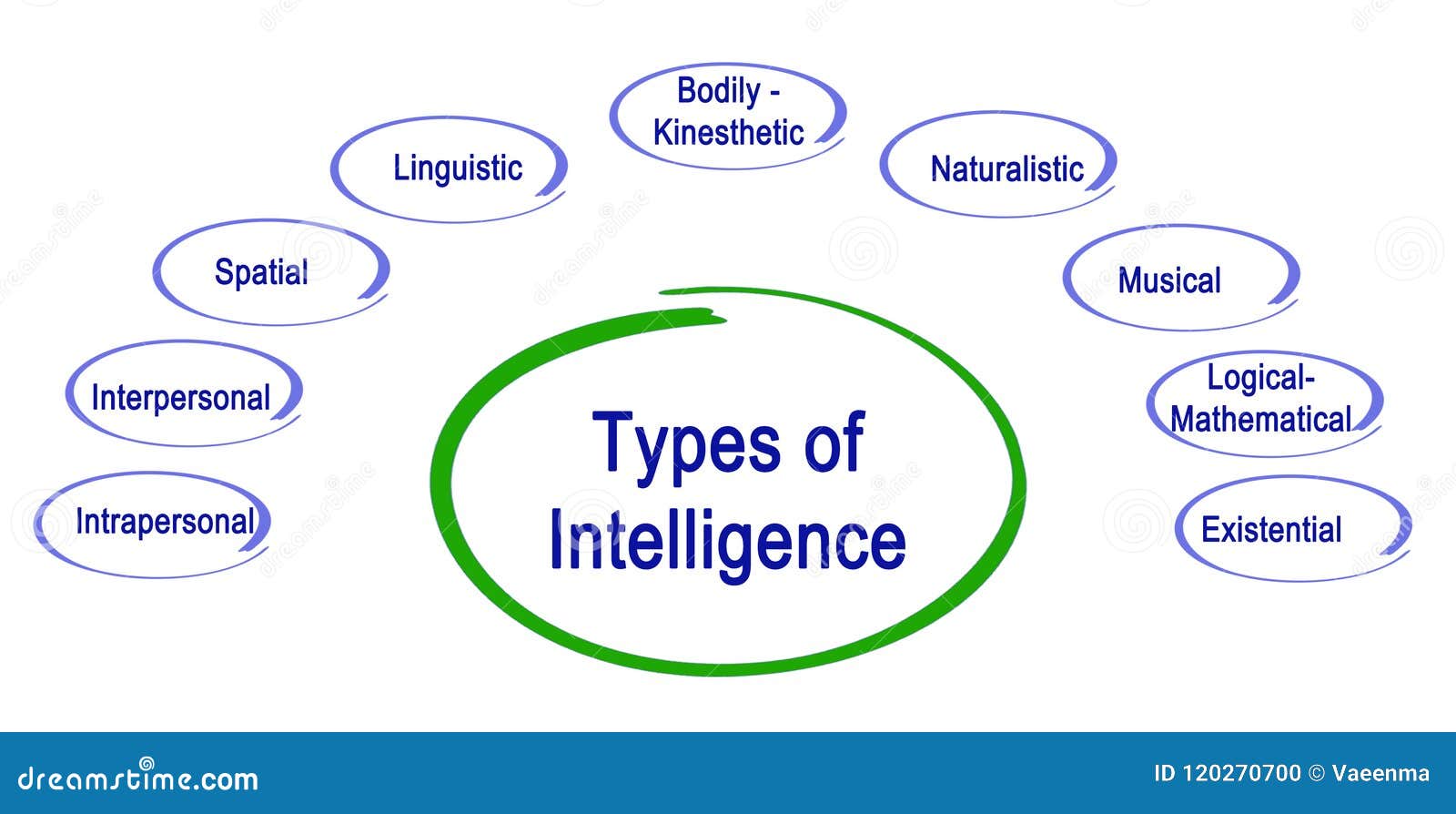 Types of Intelligence stock illustration. Illustration of interpersonal