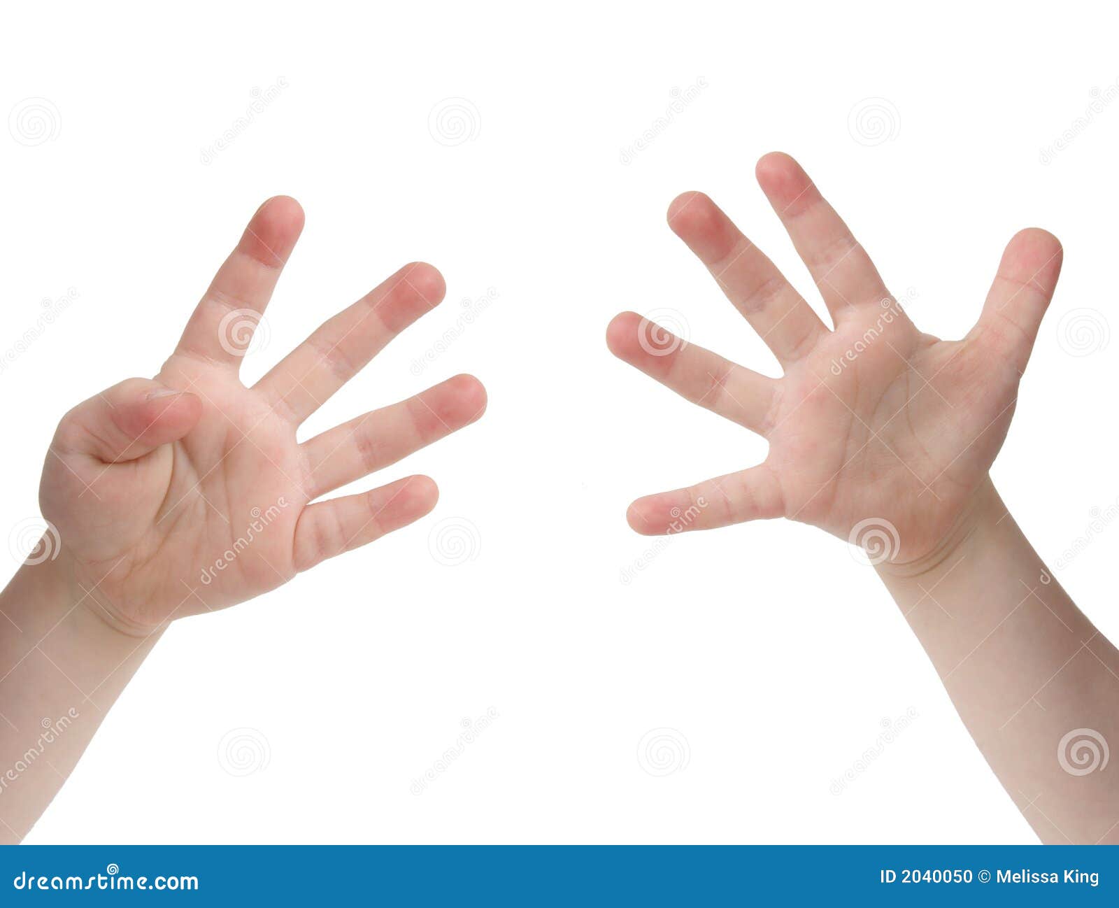 nine fingers