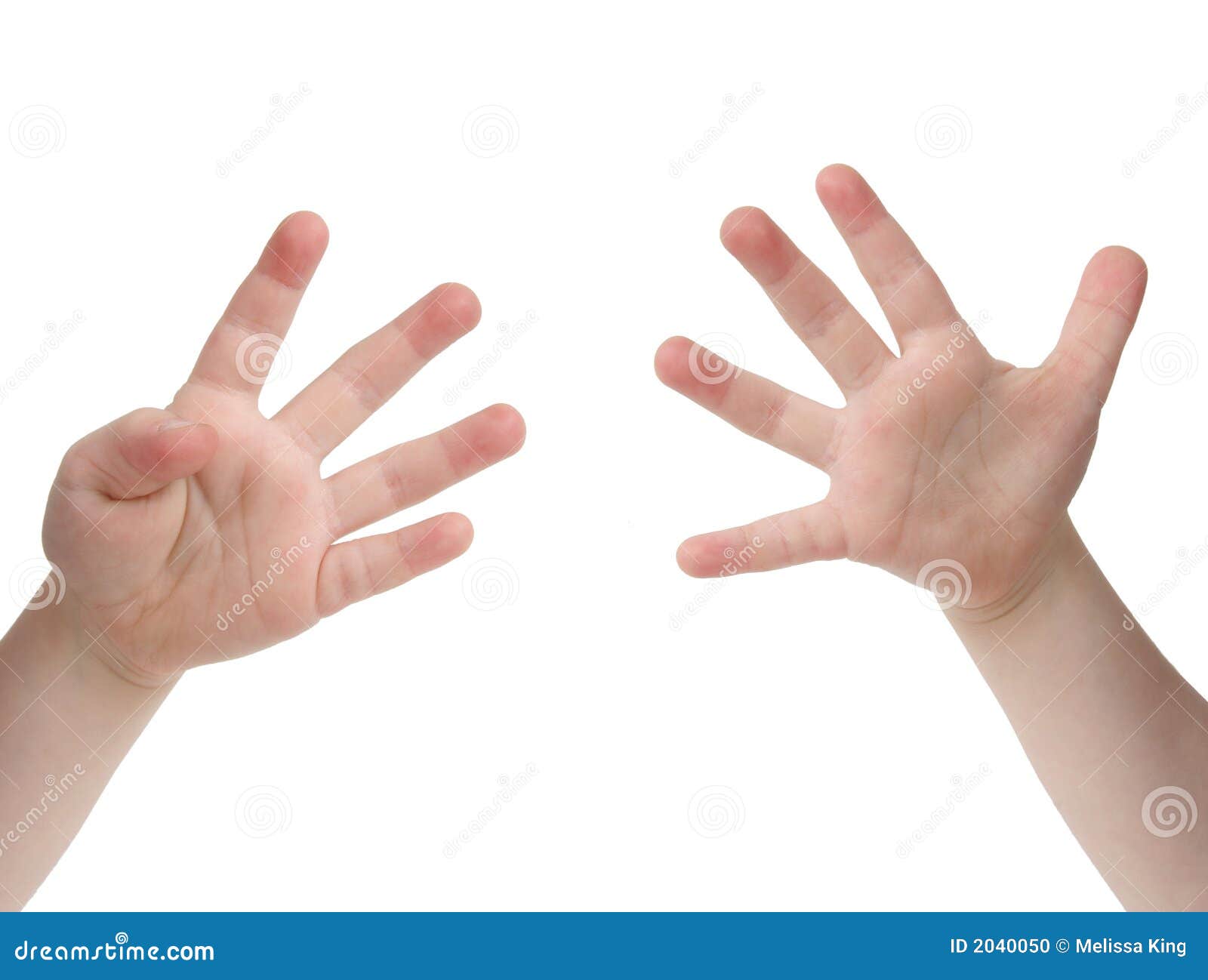 Nine Fingers stock photo. Image of human, background, young 2040050