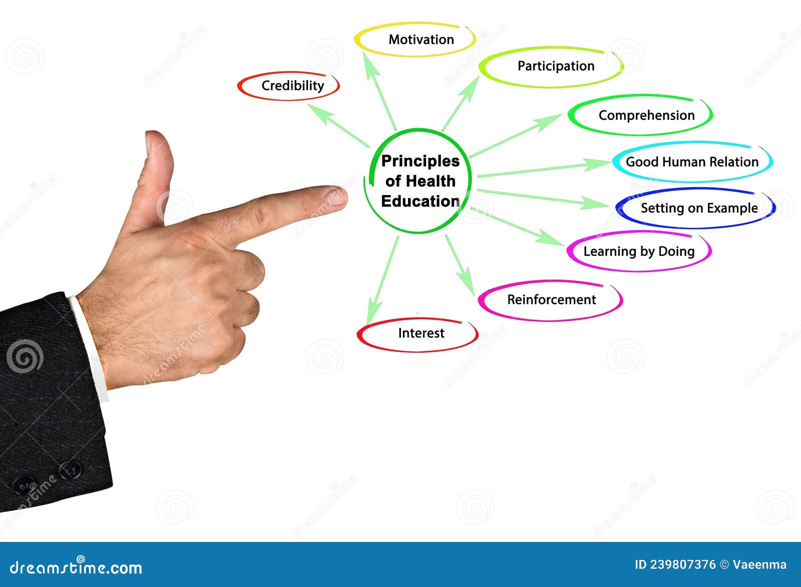 12 PRINCIPLES OF HEALTH EDUCATION SLIDESHARE visual data 6