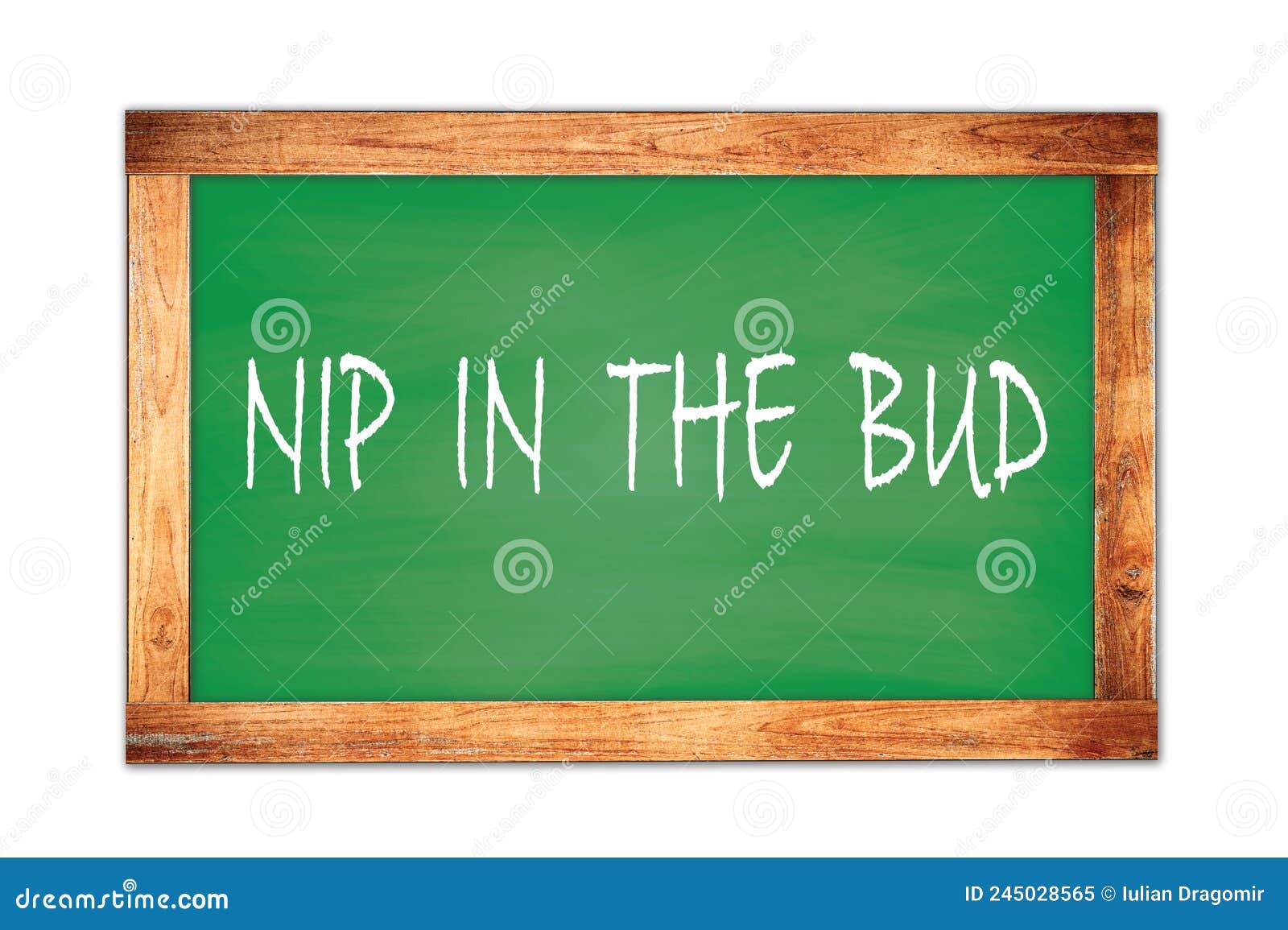 nip  in  the  bud text written on green school board