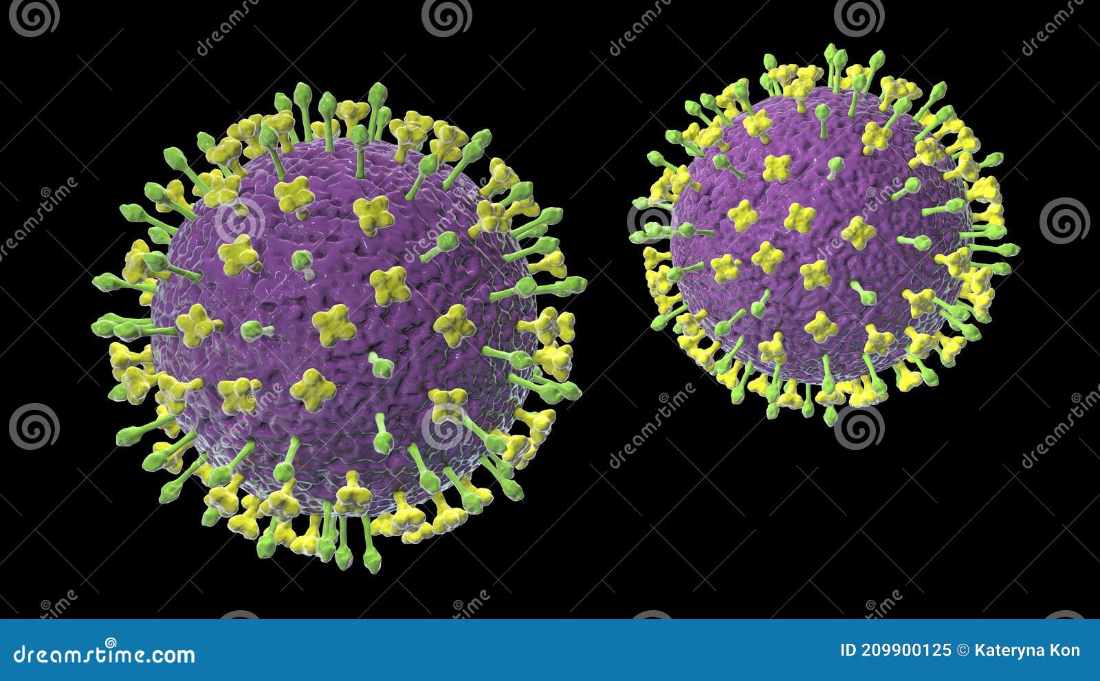 nipah virus, a newly emerging bat-borne virus