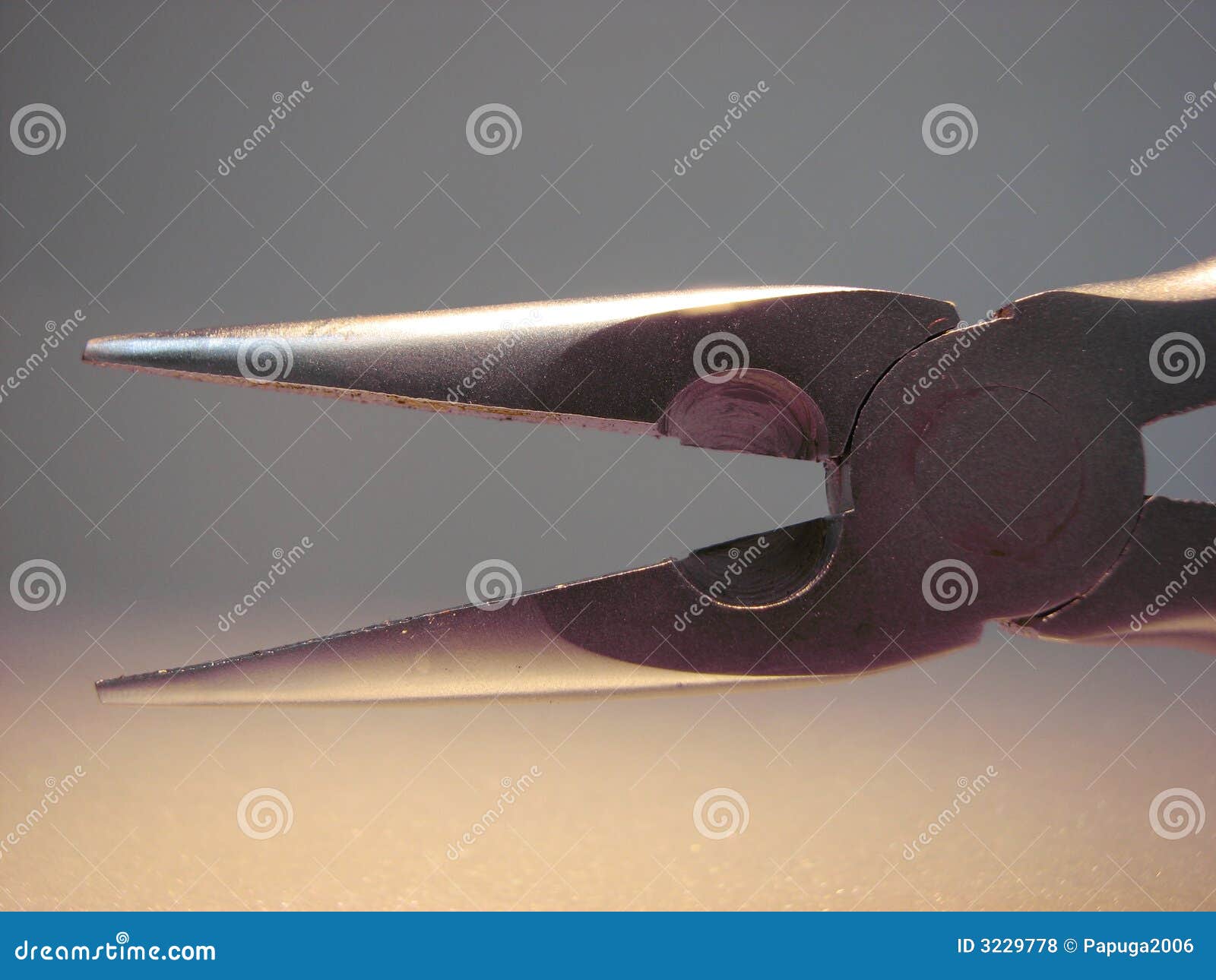 Nippers head stock photo. Image of equipment, work, metallic 3229778