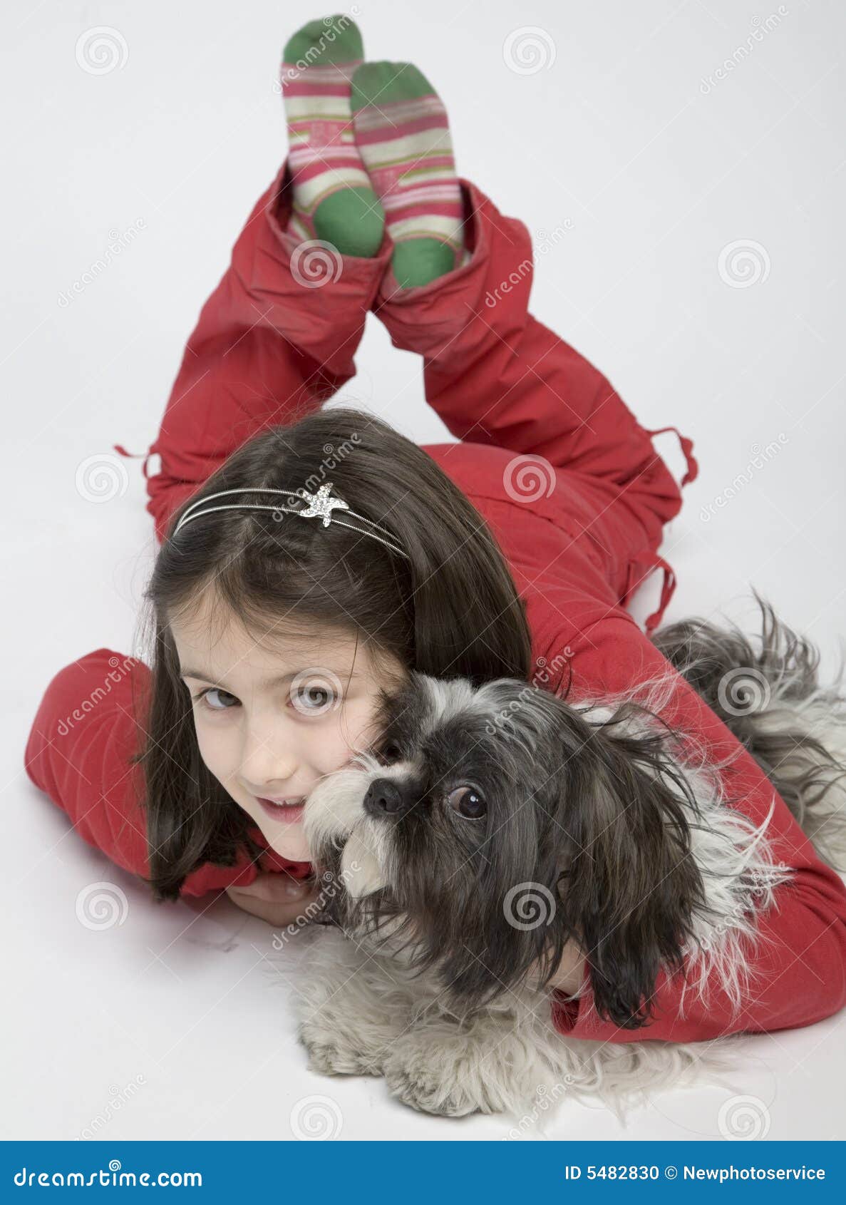 Niño Con El Animal Doméstico Del Perro Foto de archivo Imagen de