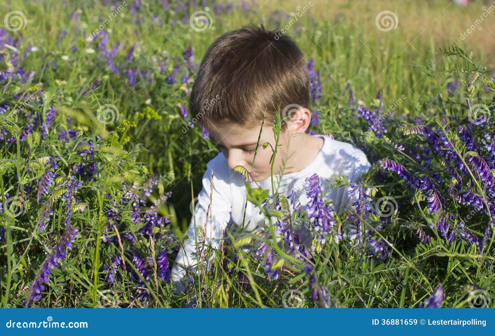 Niños. Retrato de un muchacho en una naturaleza del verano