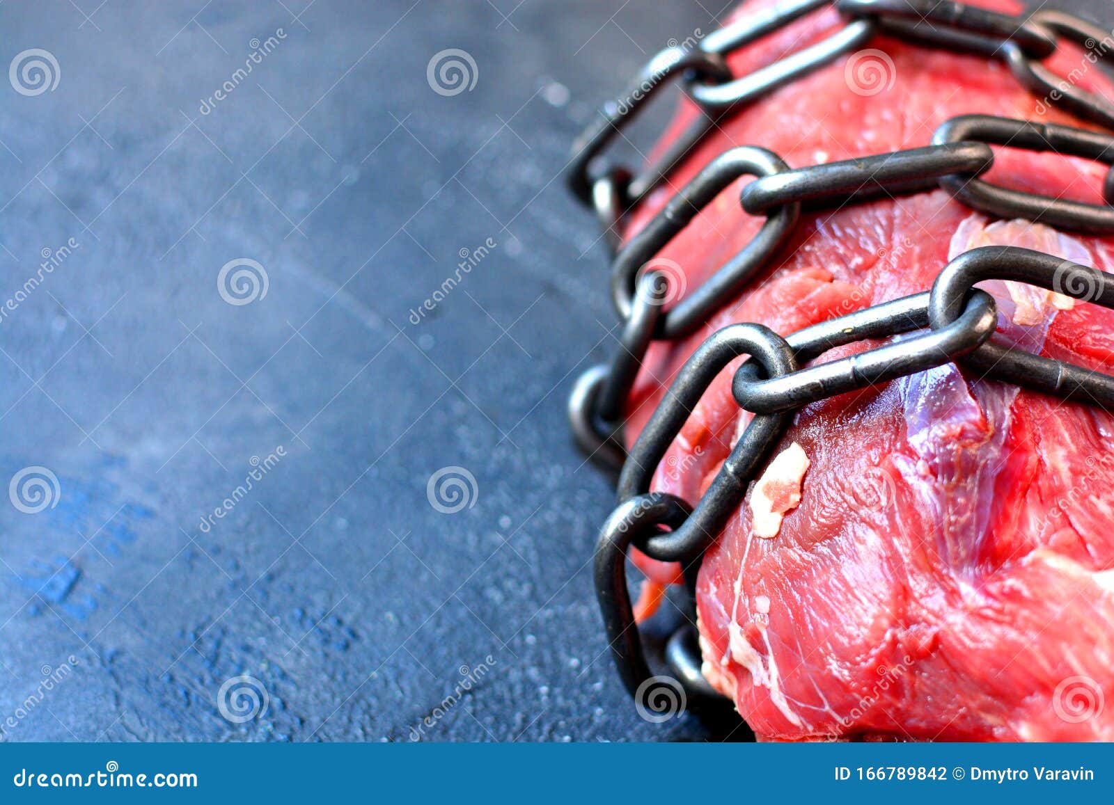 No animals products idea stock photo. Image of continence - 166789842