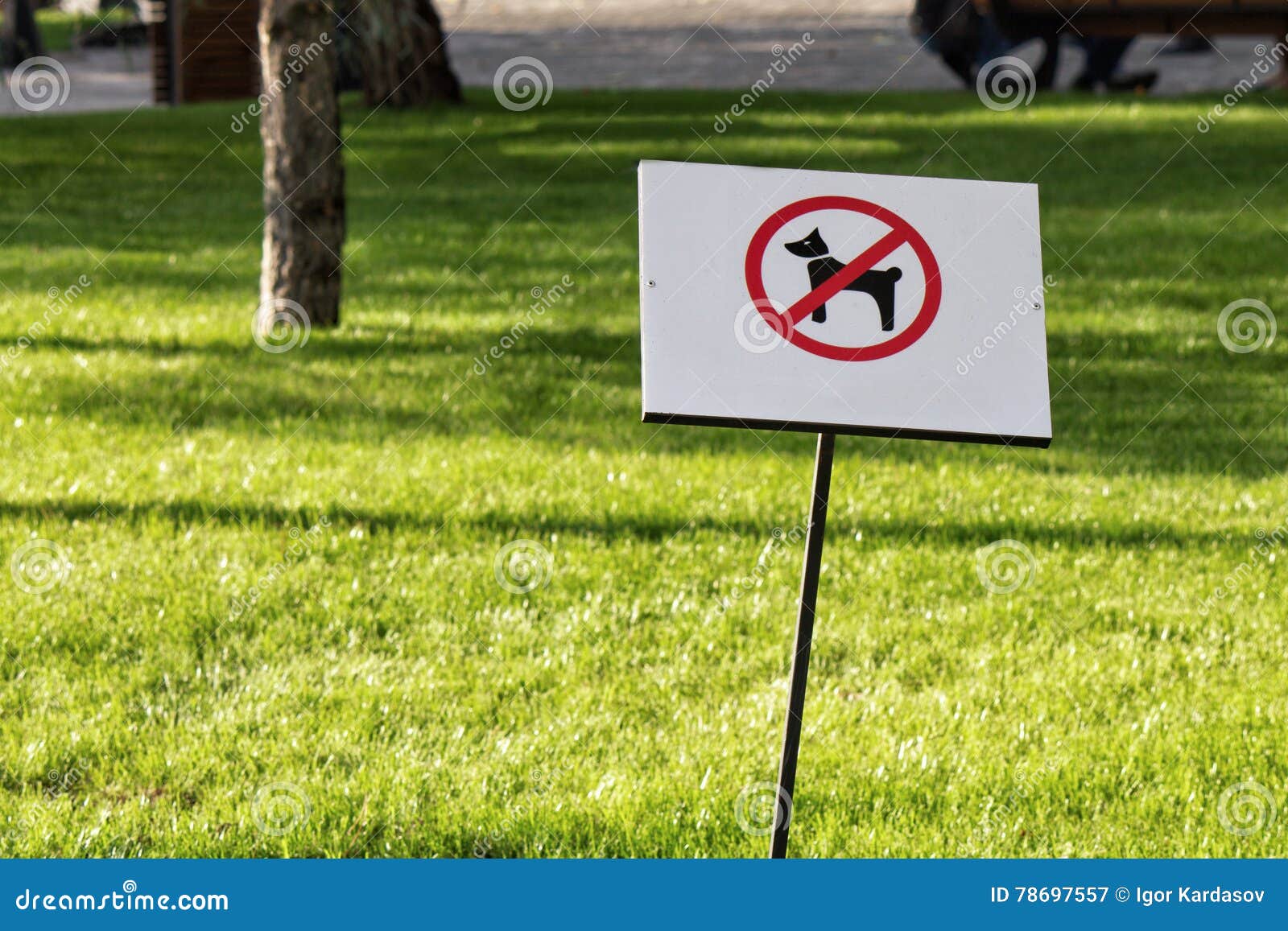 No Dog Allowed Sign in the Park Stock Image Image of forbid, caution