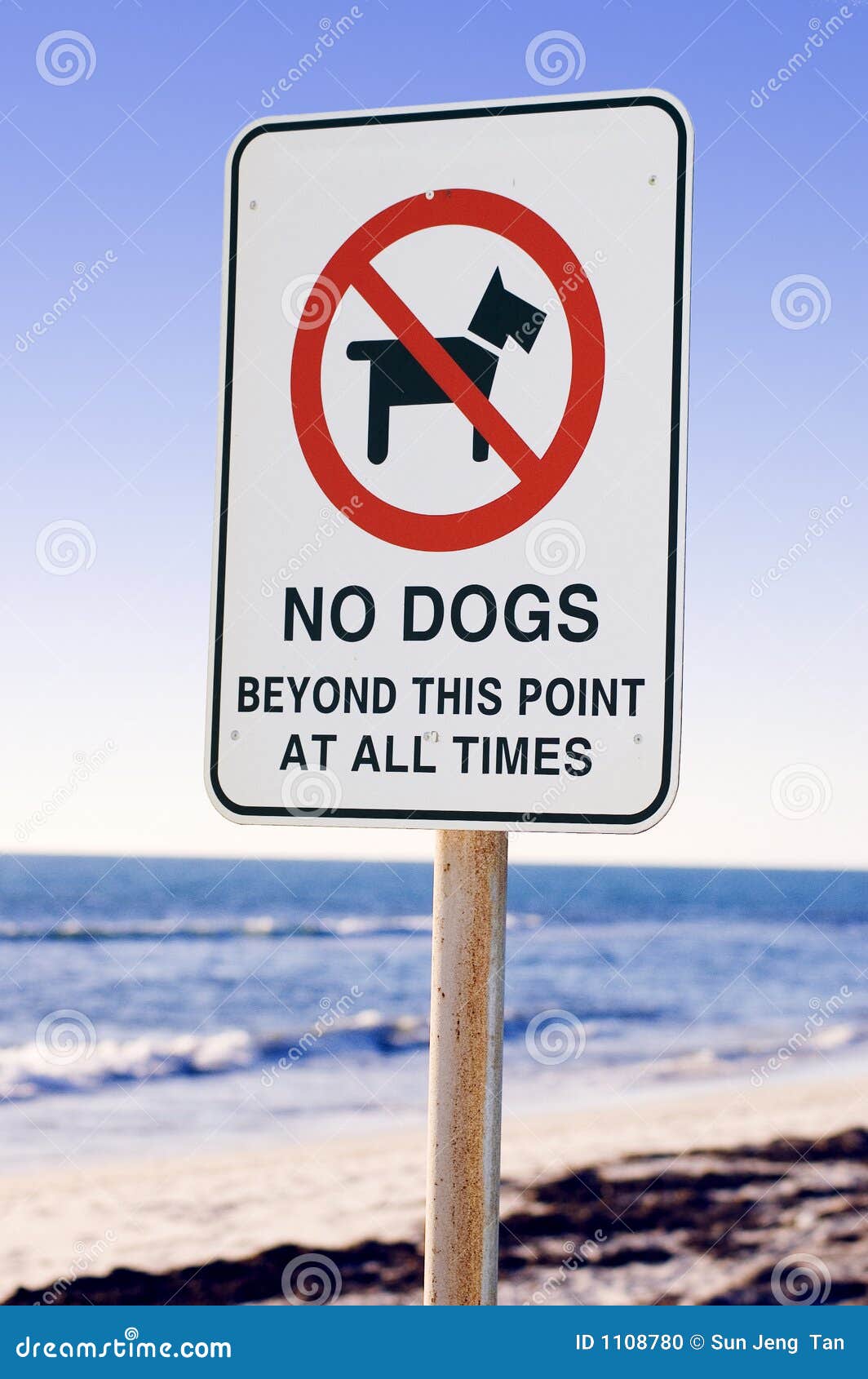Are Dogs Banned On Beaches