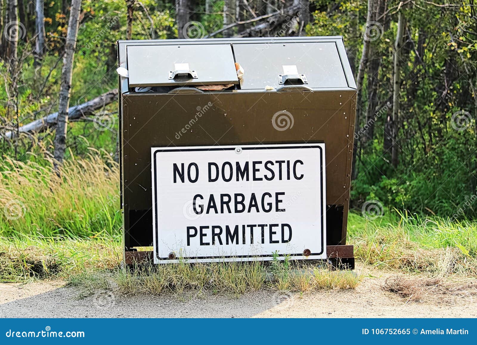 No Domestic Garbage Sign on an Overflowing Container Stock Image