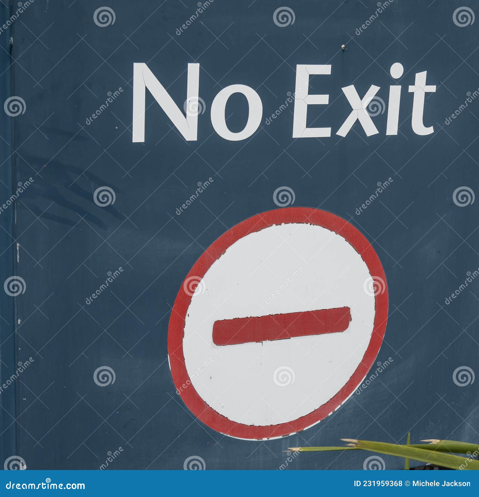 No Exit Signage with Symbol Stock Photo - Image of caution, blue: 231959368