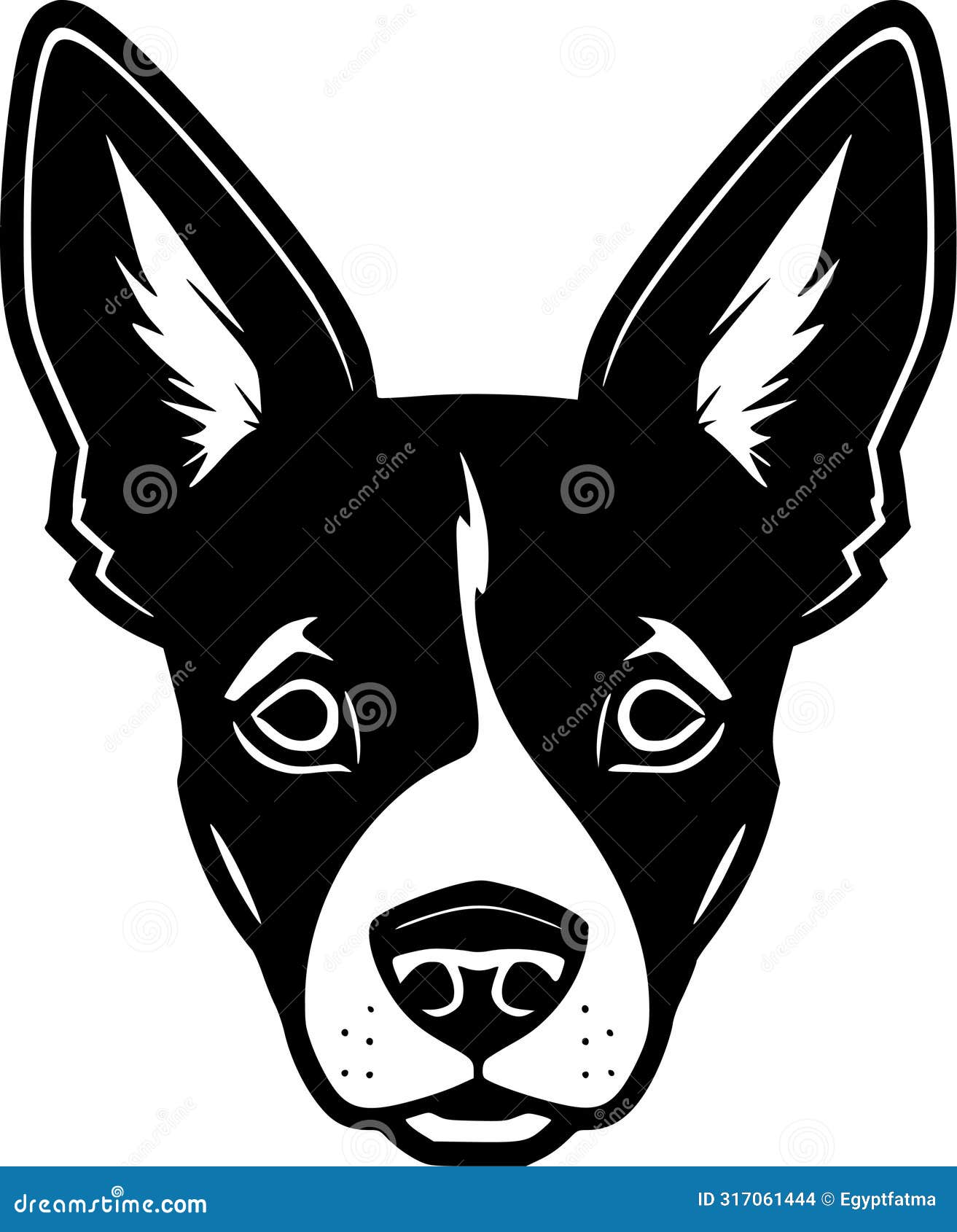 basenji - black and white  