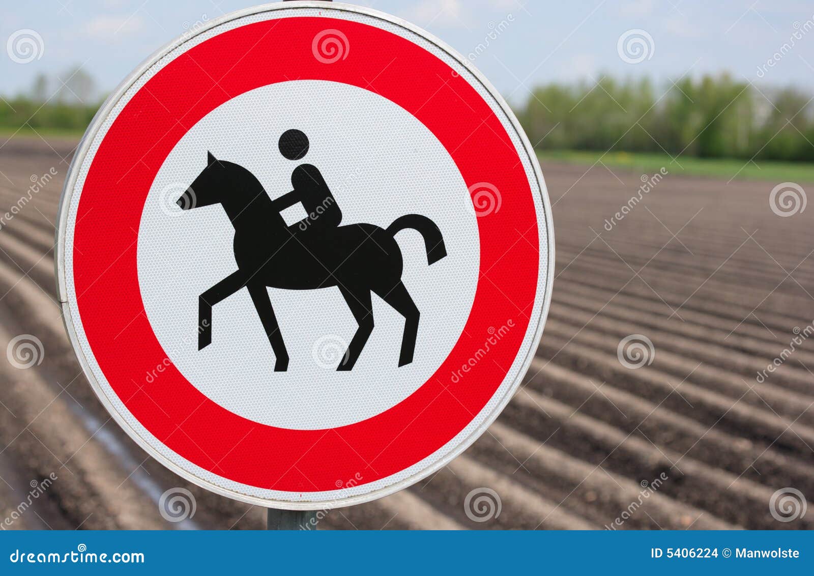 No horses allowed stock photo. Image of symbol, scene - 5406224