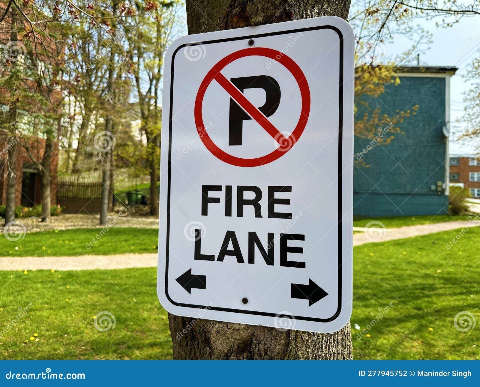 No Parking Fire Lane. stock photo. Image of white, background 277945752