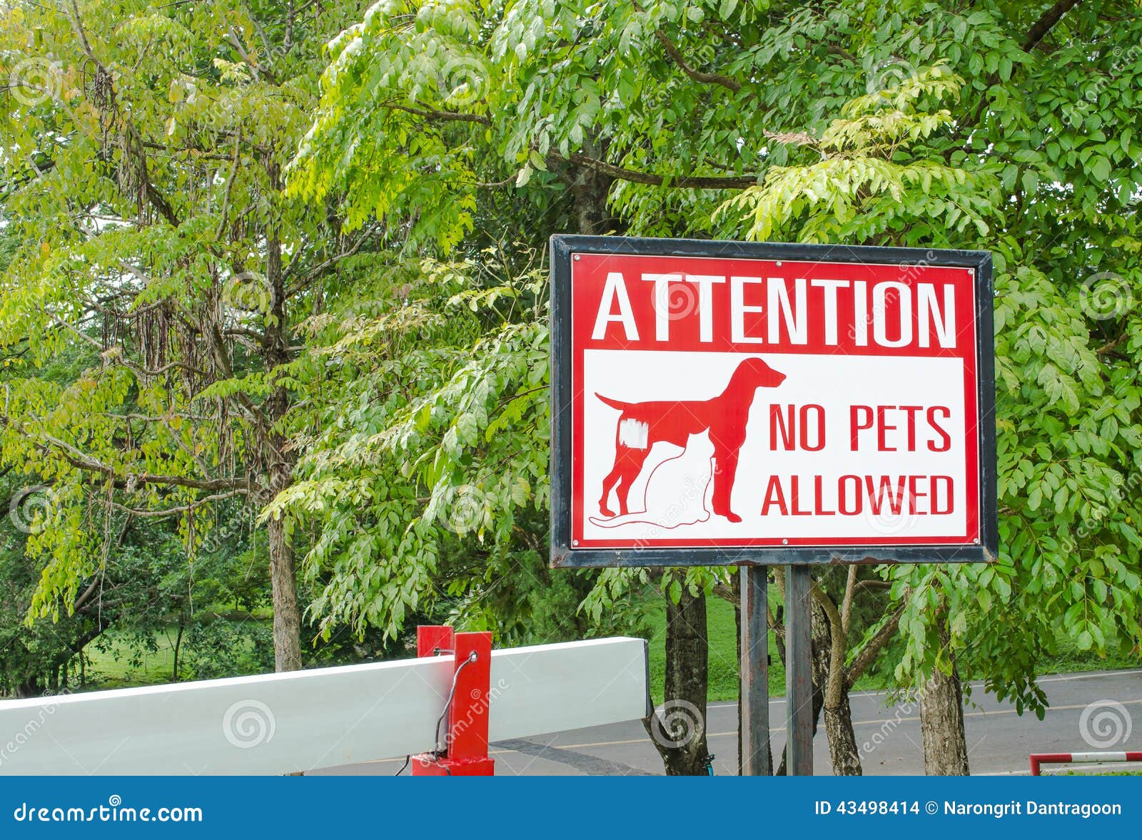 No Pets Allowed Sign on Gate in the Park Stock Photo Image of animal