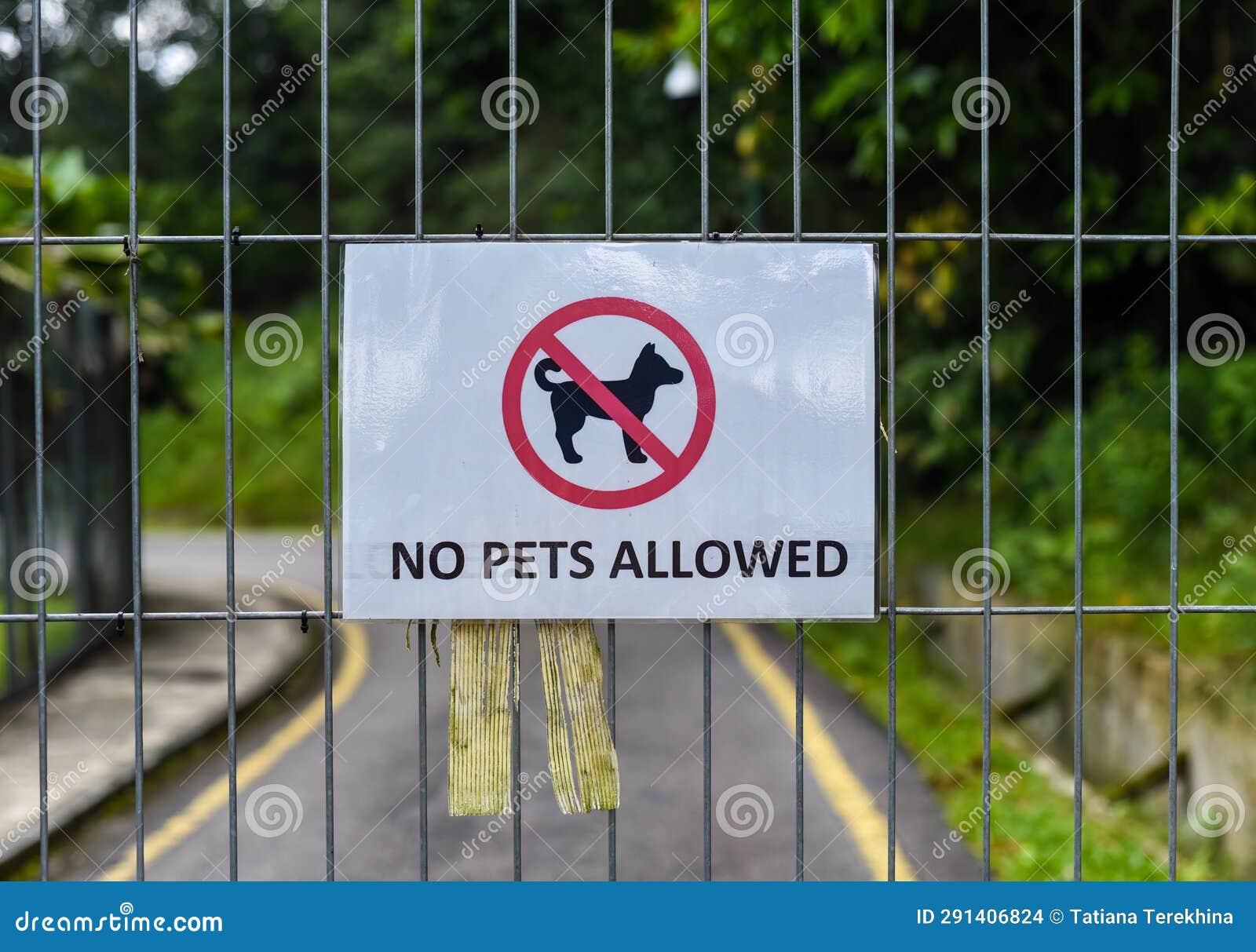 No Pets Allowed Sign in the Park in Malaysia Stock Photo Image of