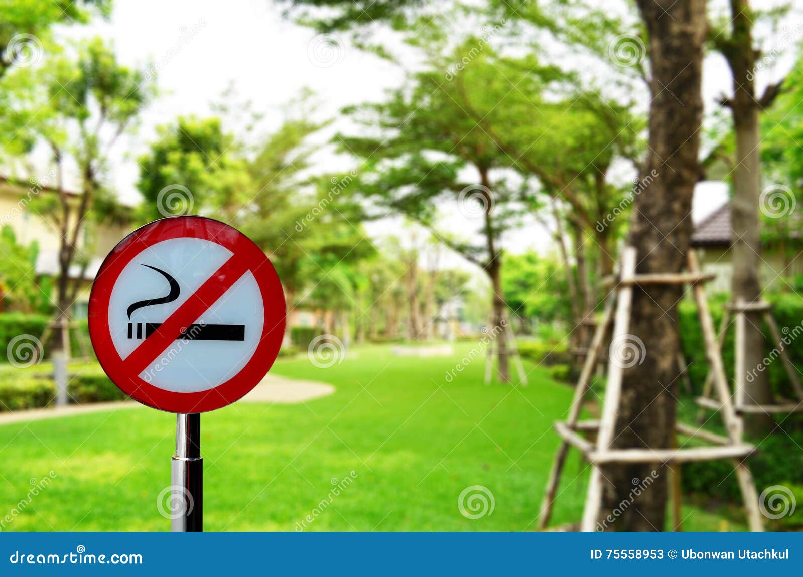 No Smoking Sign in the Park Stock Image Image of park, foreground