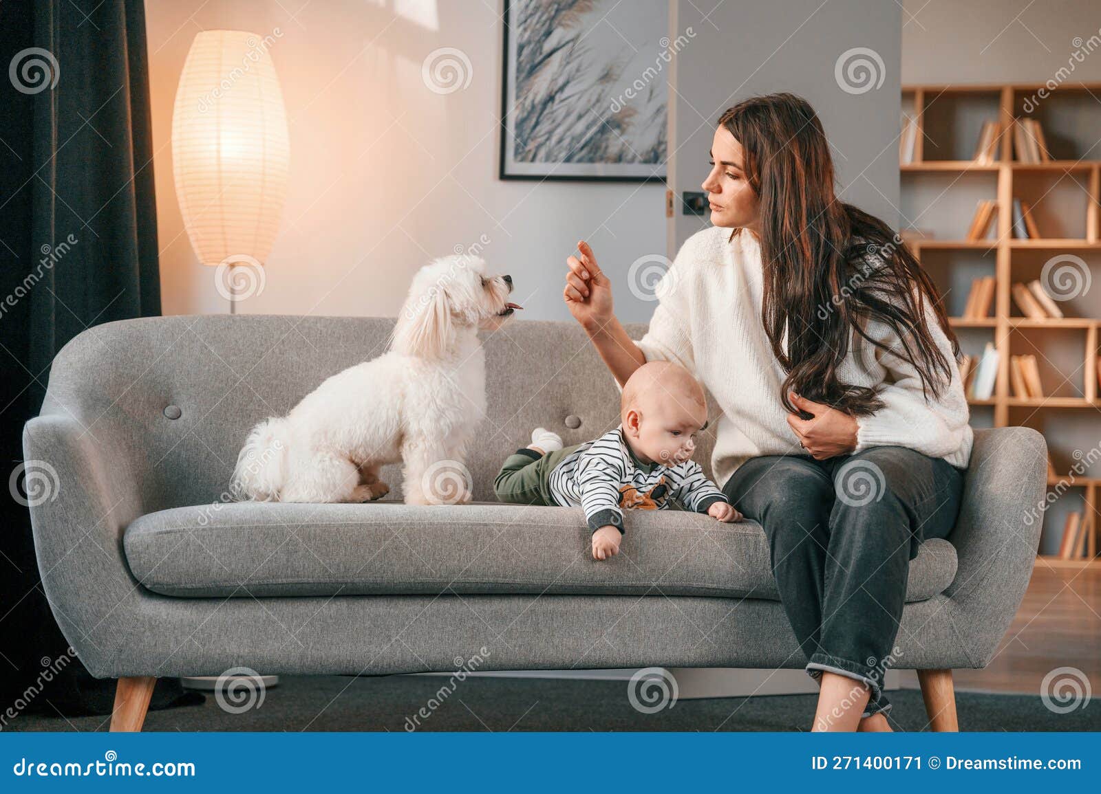 Menina brincando com o cachorro grande em casa sala de estar na cor branca.  Cão é da raça fila brasileiro. O conceito de estilo de vida, infância,  educação fotos, imagens de ©