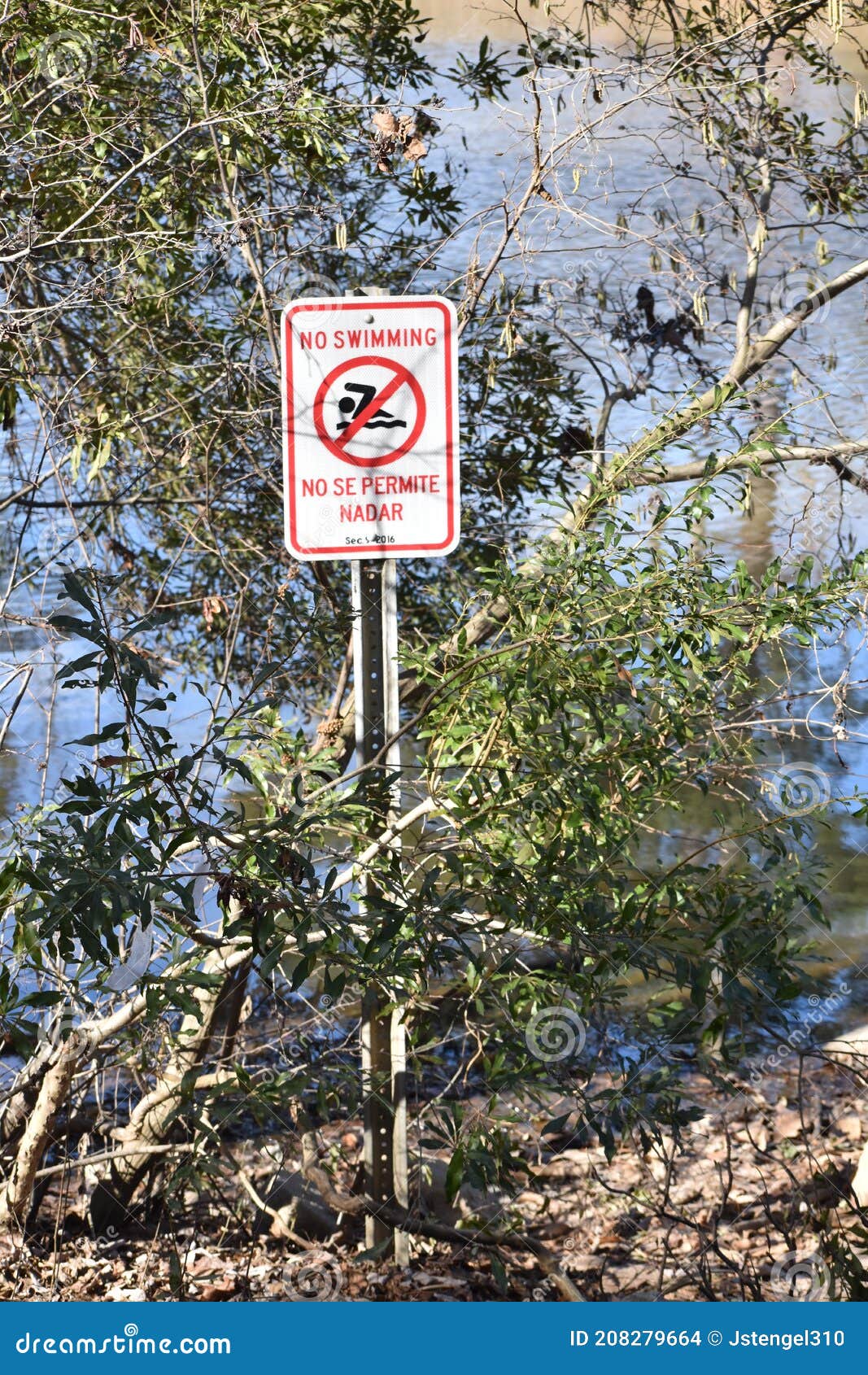 no swimming  no se permite nadar sign
