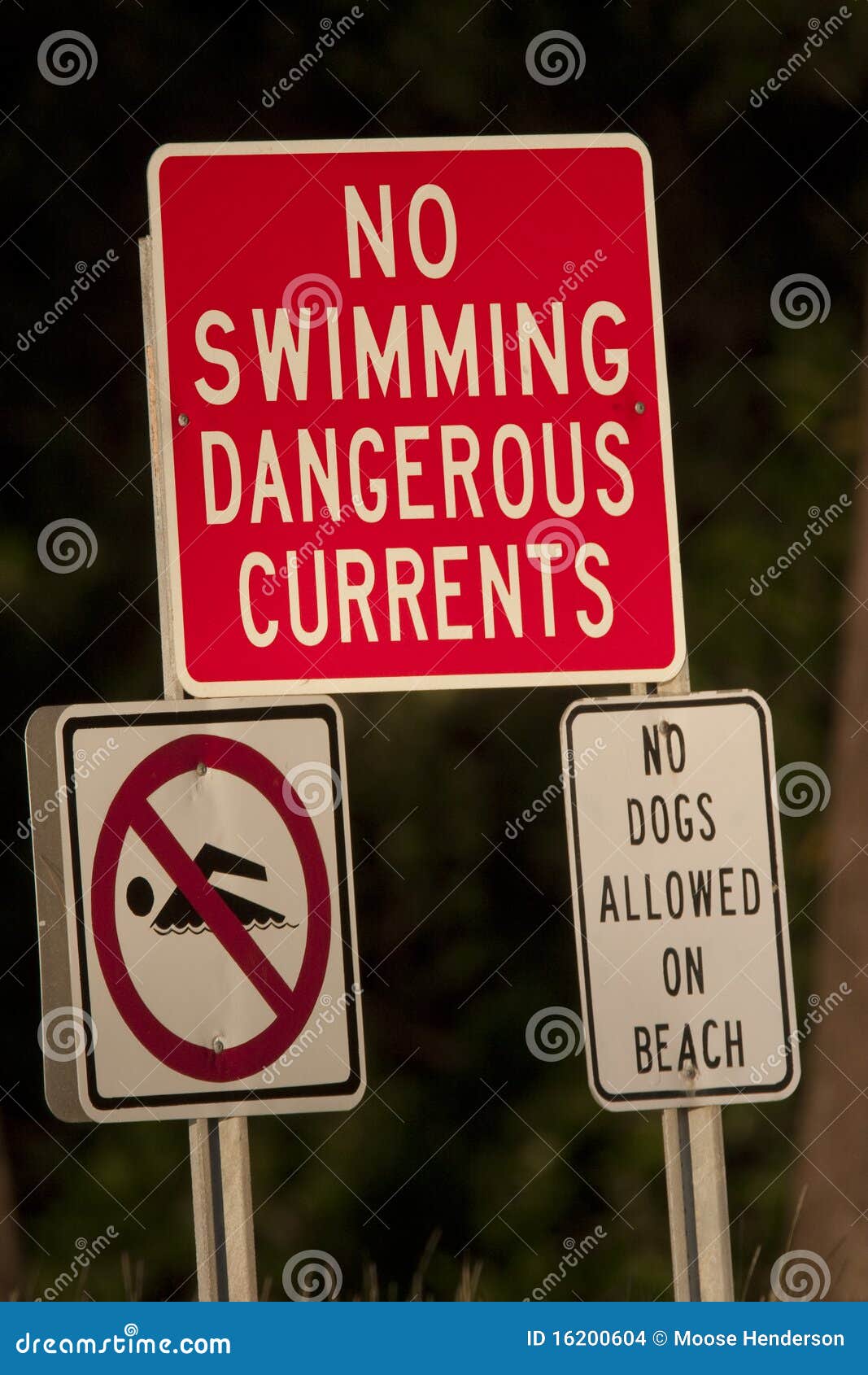 REAL NO SWIMMING  STREET TRAFFIC SIGNS 