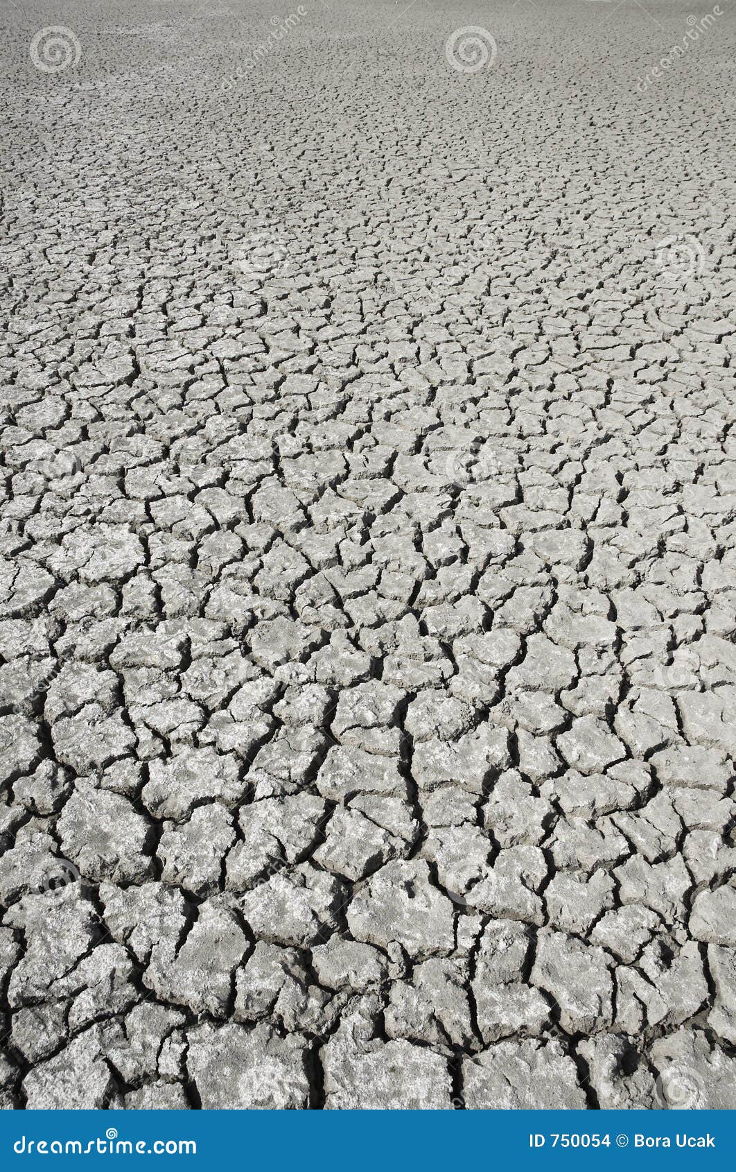 No Water Stock Images Image 750054