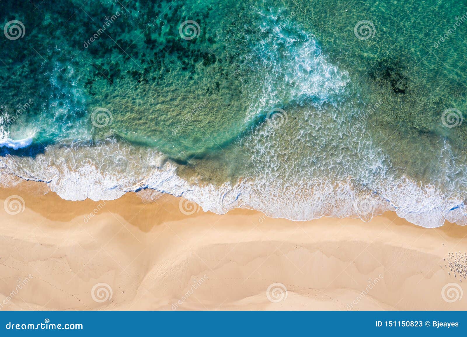 nobbys beach - newcastle nsw australia - aerial view