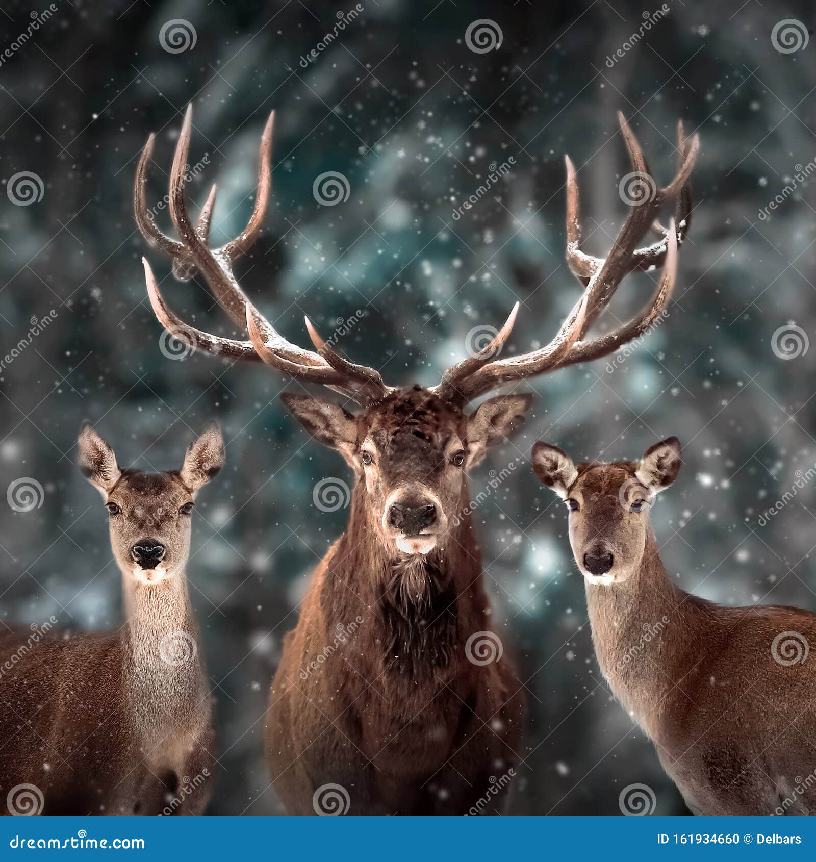 Noble Deer Family in Winter Snow Forest. Artistic Winter Christmas