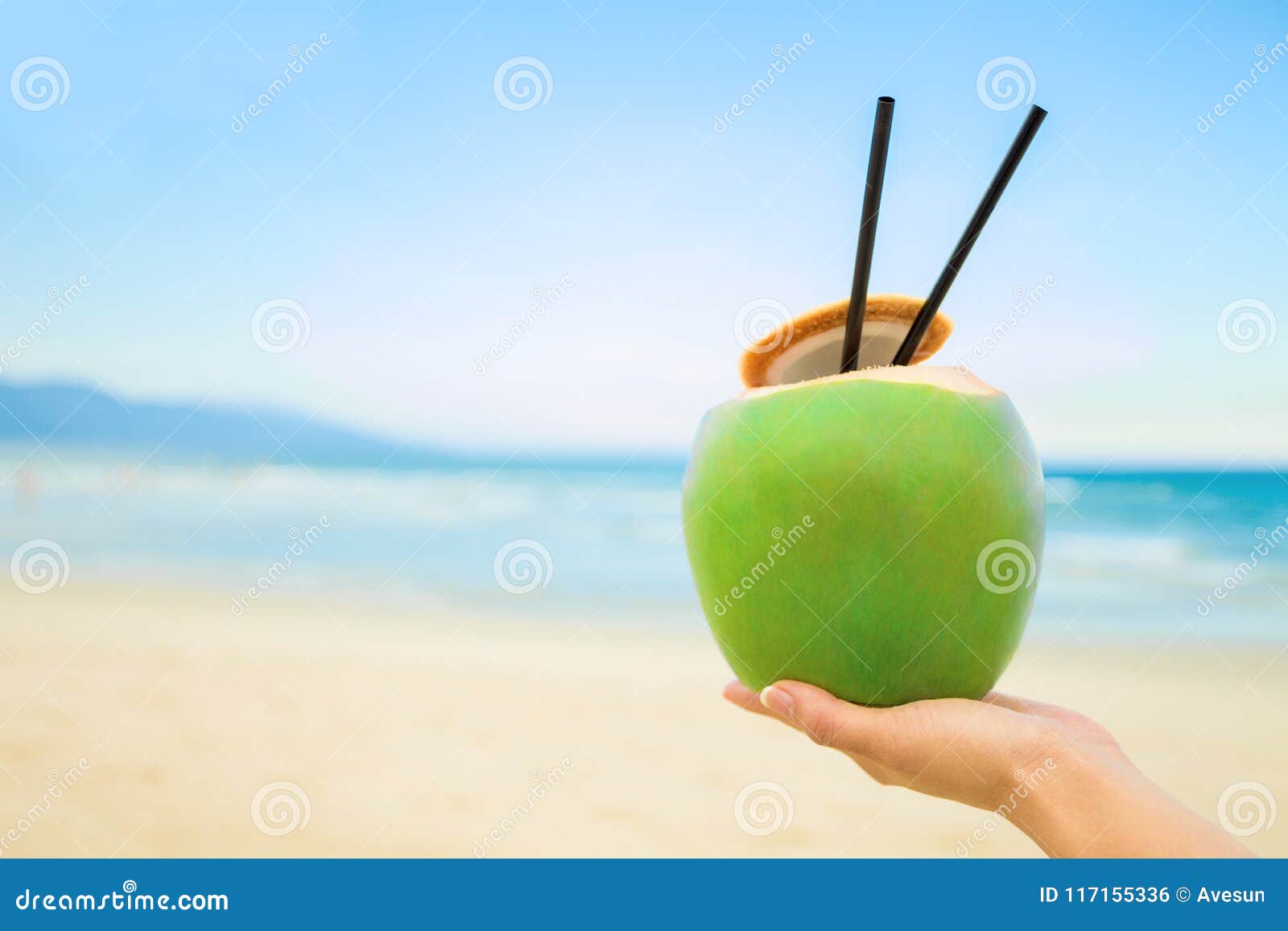 Casetta In Noce Di Cocco Con Scaletta - Giocattolo Naturale Per Uccelli E Roditori, 31x11,5 Cm - Foto 3