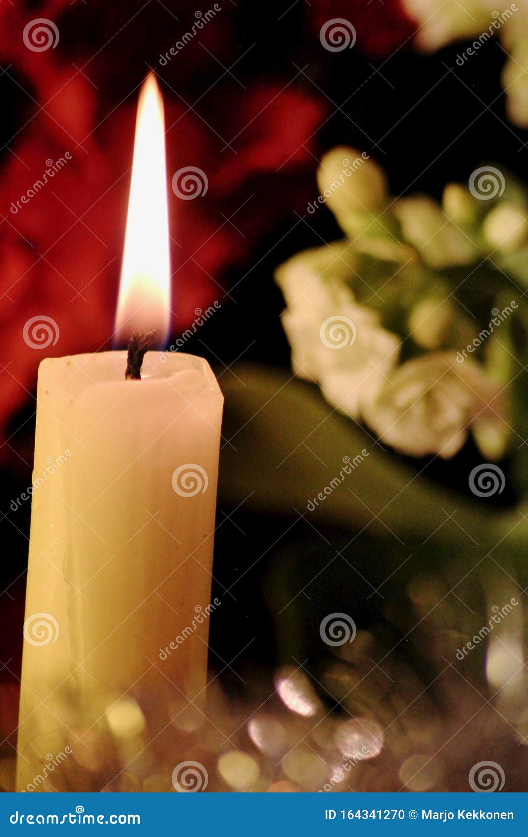 Nochebuena Con Velas Blancas 37 Foto de archivo - Imagen de plantas, casa: 164341270 Nochebuena Con Velas Blancas 37 Foto de archivo - Imagen de plantas, casa: 164341270