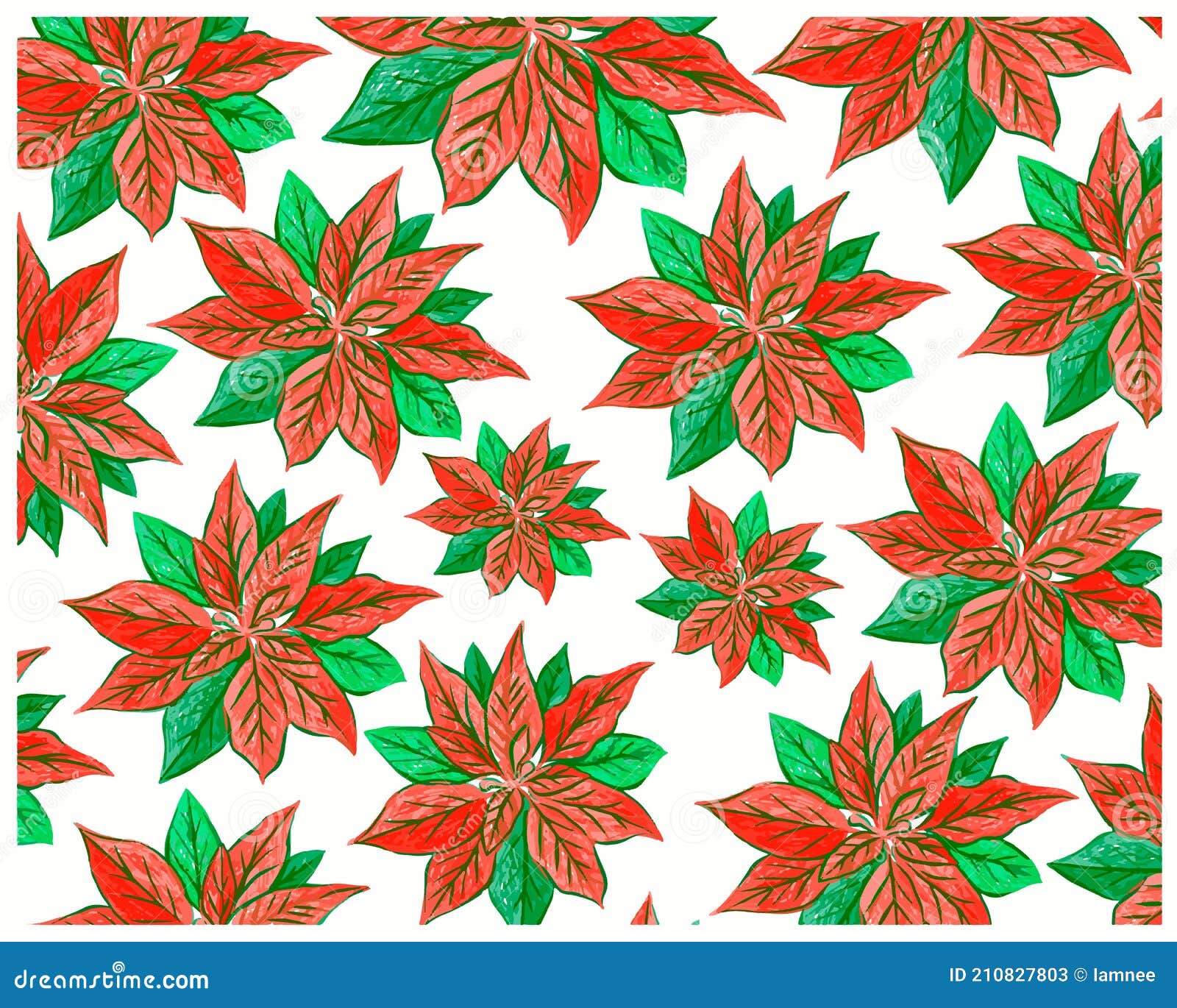 Nochebuena O Euphorbia Pulcherrima Flores Fondo Ilustración del Vector -  Ilustración de deco, arte: 210827803