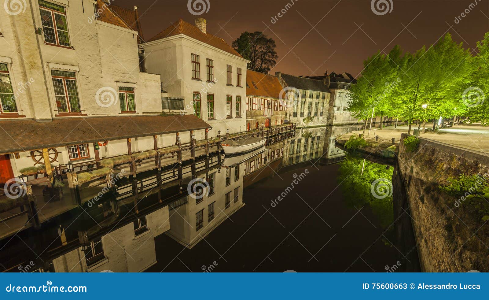 nocturnal view of a canal in bruges