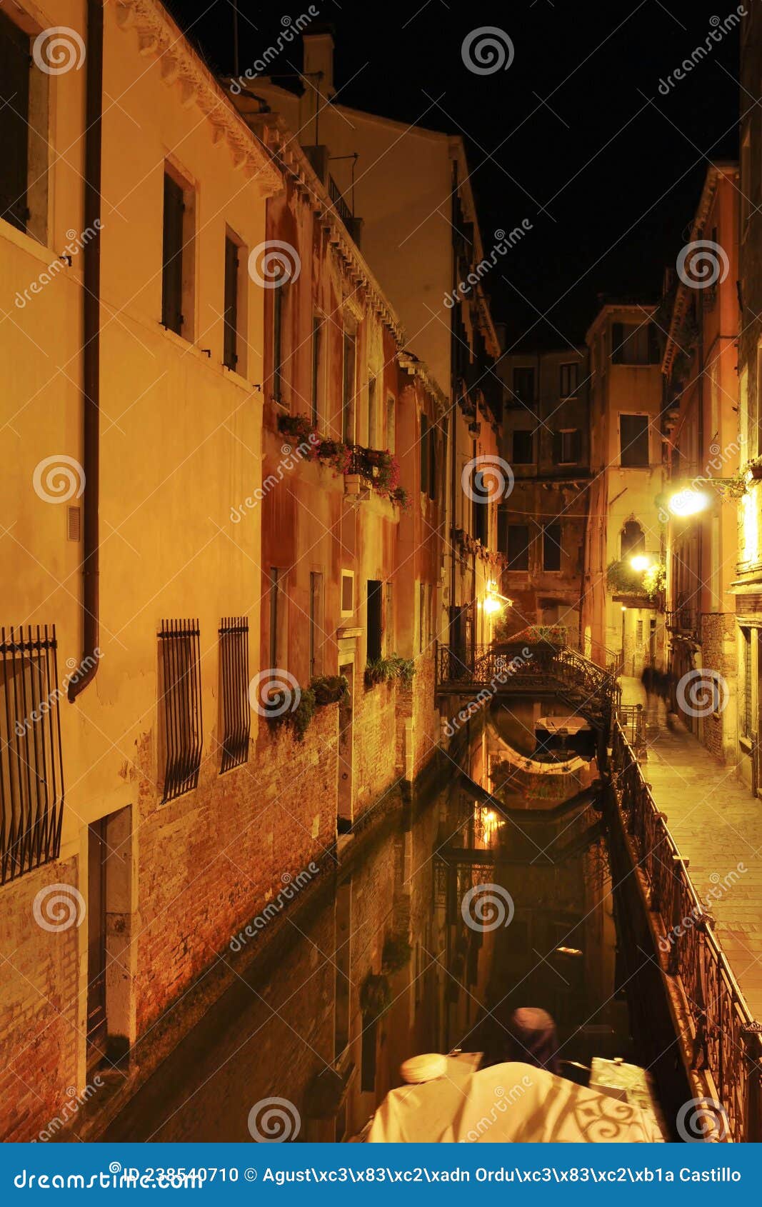 nocturnes of the city of venice