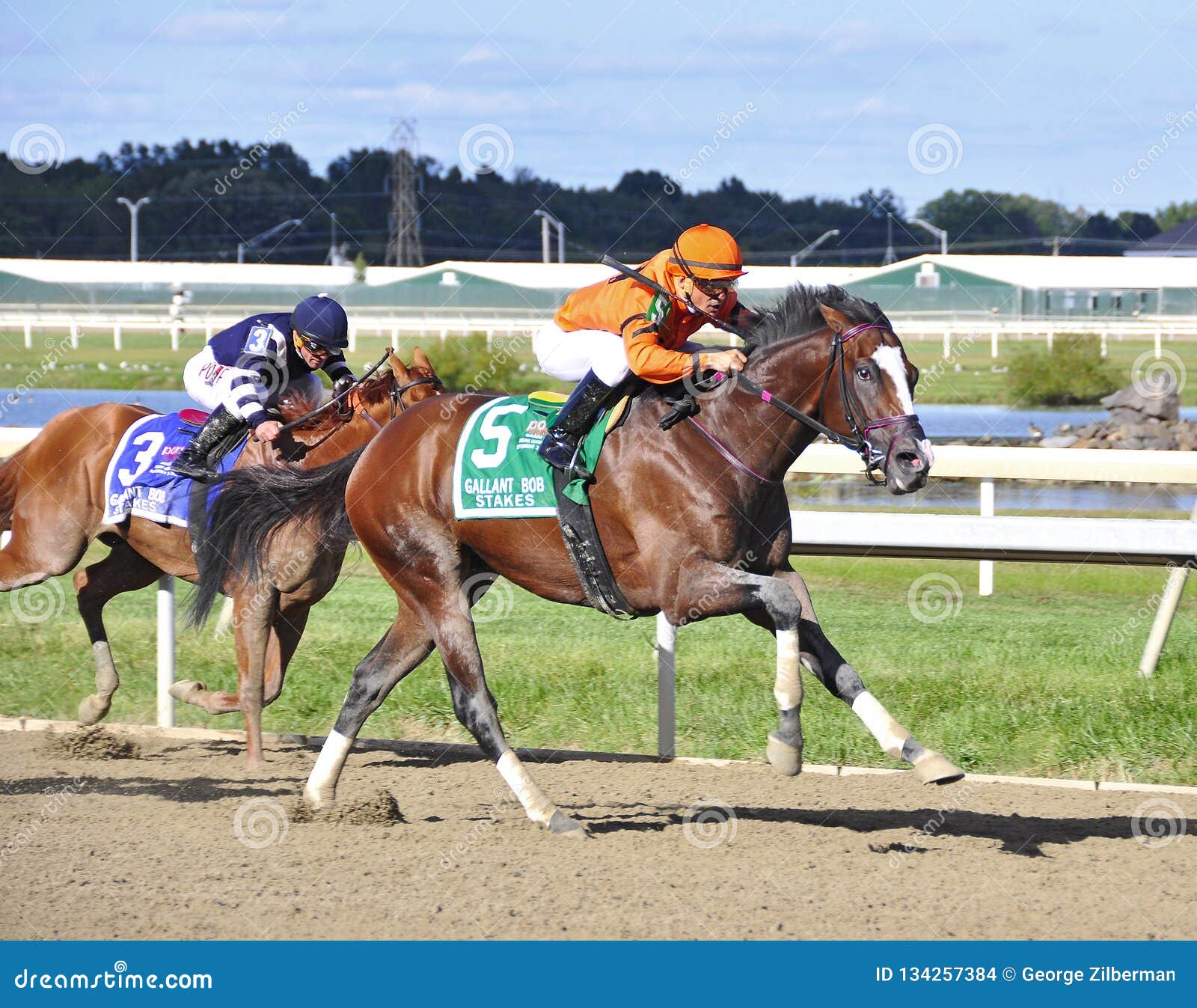 Noholdingbackbear Pennsylvania Derby Day Editorial Stock Image Image